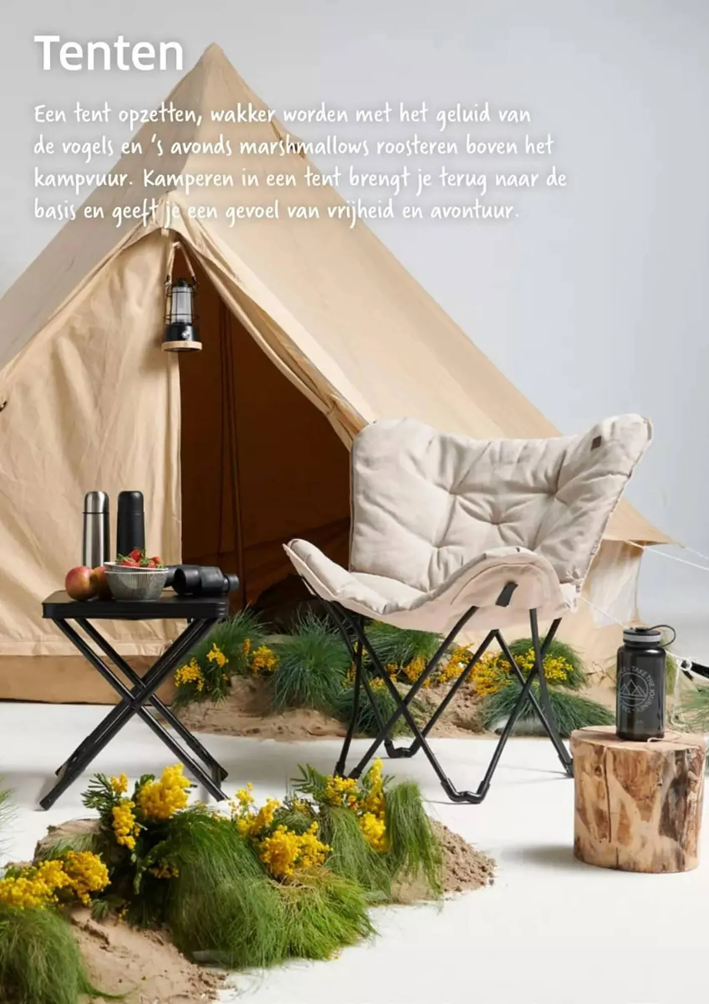 ANWB folder van 15 mei tot 31 oktober 2023 - Folder pagina 39