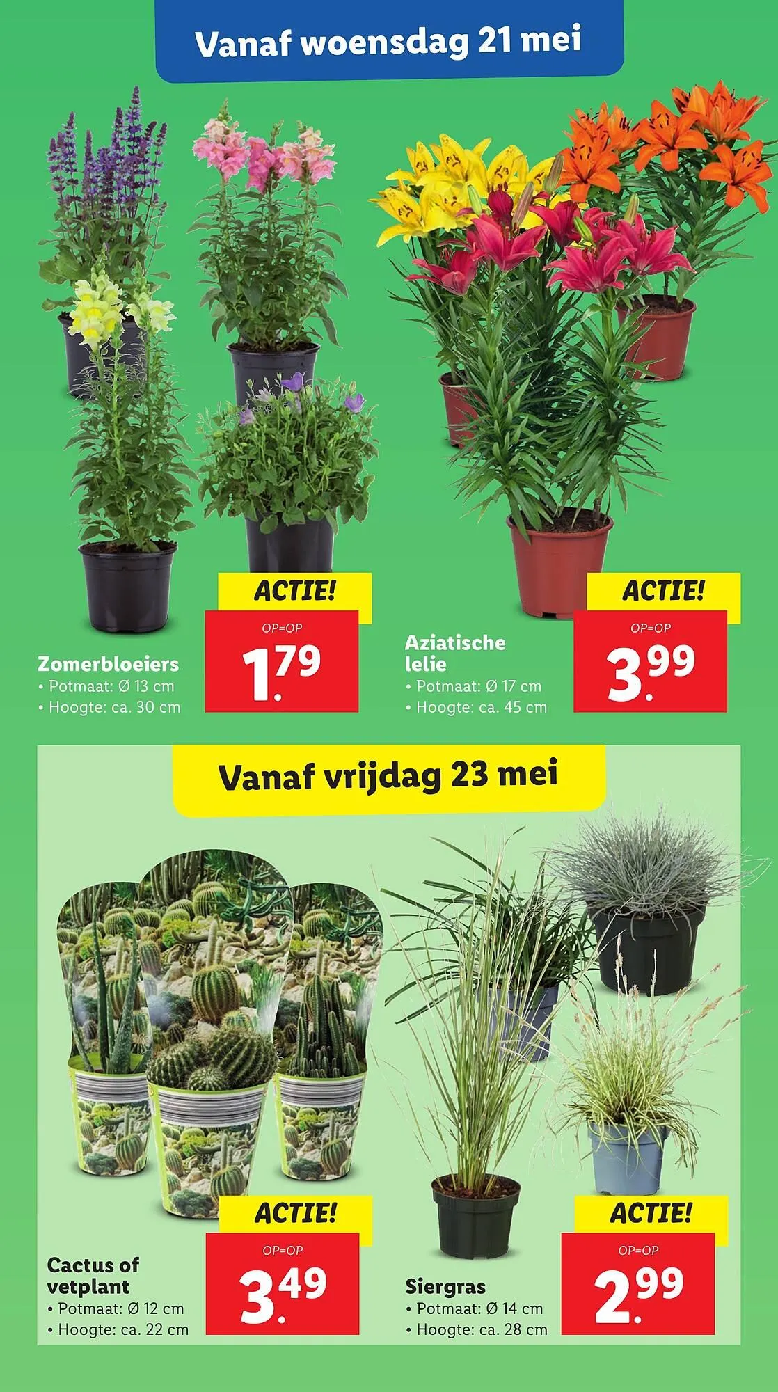 Lidl folder van 19 mei tot 25 mei 2025 - Folder pagina 19