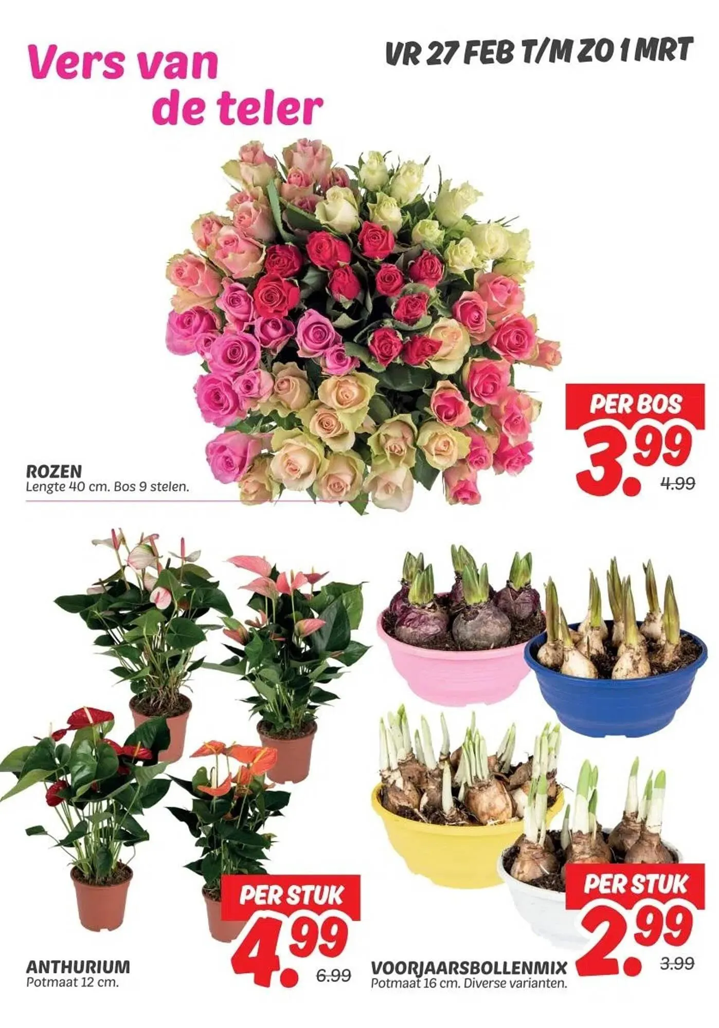 Dekamarkt folder van 27 februari tot 1 maart 2026 - Folder pagina 6