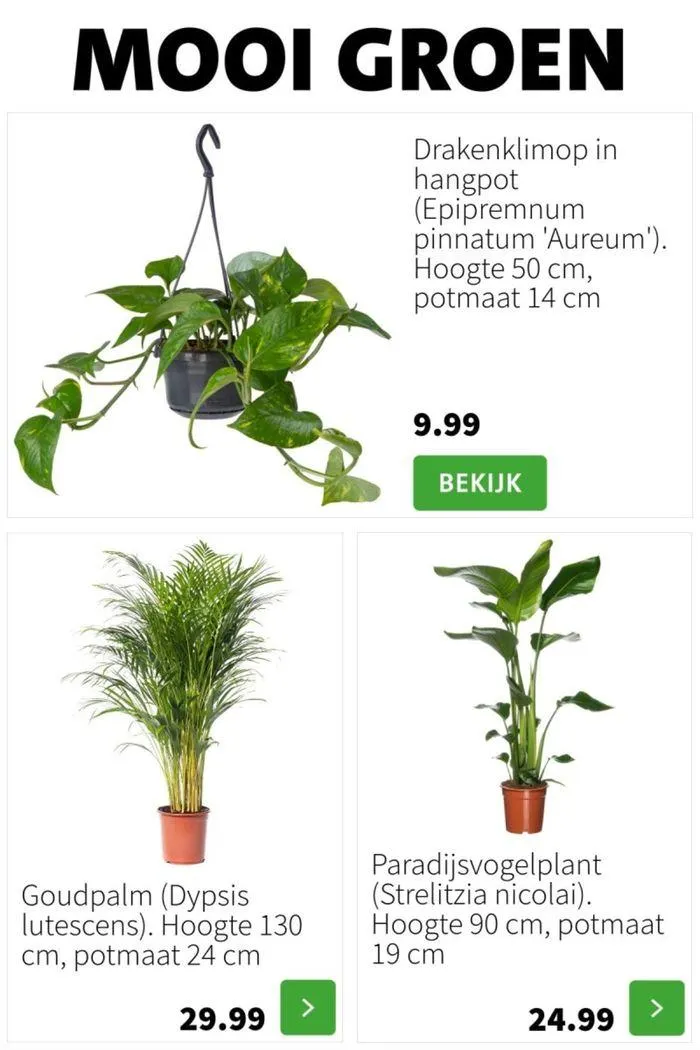 Folder week 29 2024 dyn van 15 juli tot 29 juli 2024 - Folder pagina 5