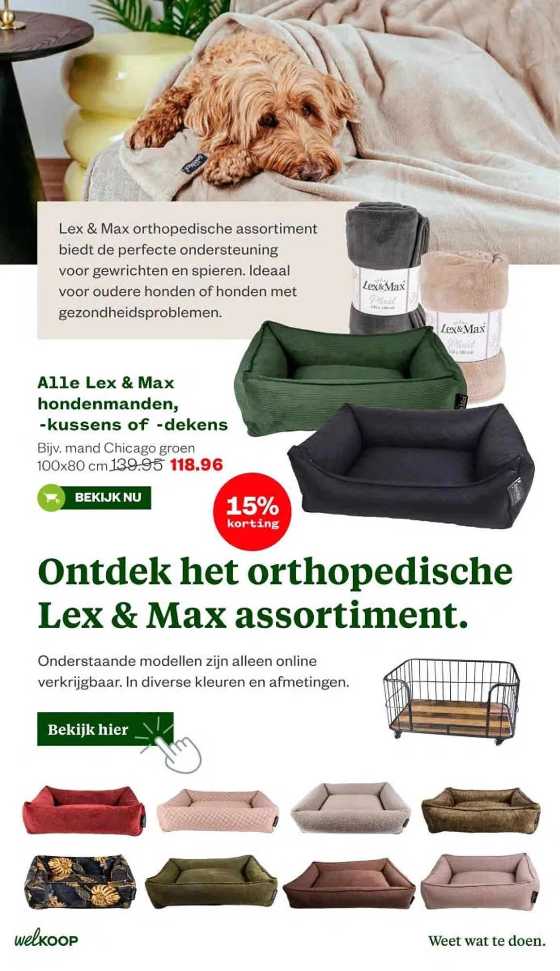 Welkoop folder van 13 april tot 19 april 2026 - Folder pagina 31