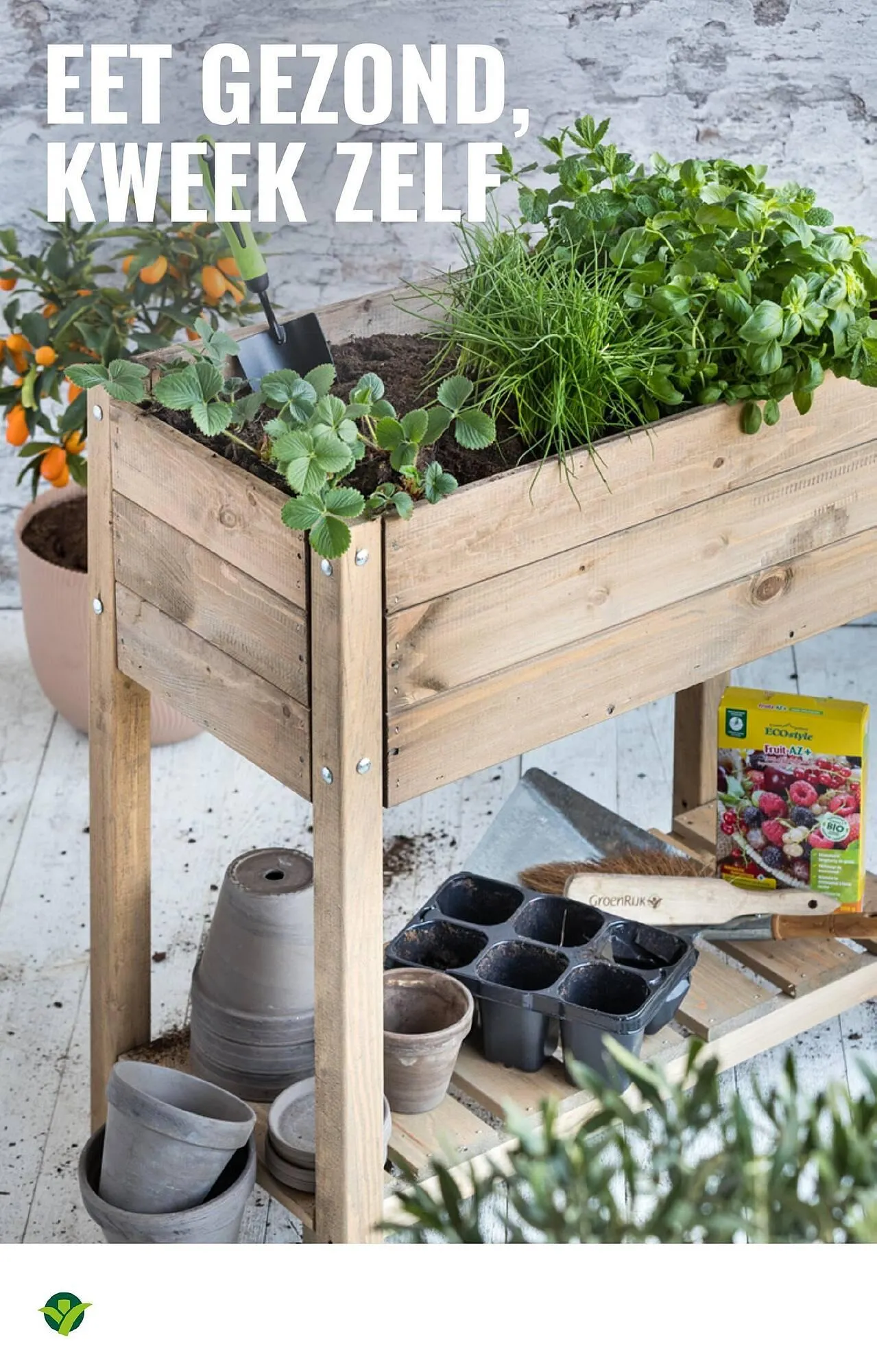 GroenRijk folder van 28 mei tot 3 juni 2025 - Folder pagina 12