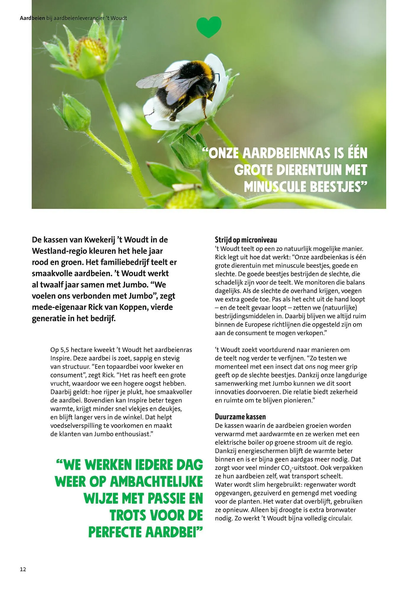 Jumbo folder van 30 juni tot 7 juli 2025 - Folder pagina 12