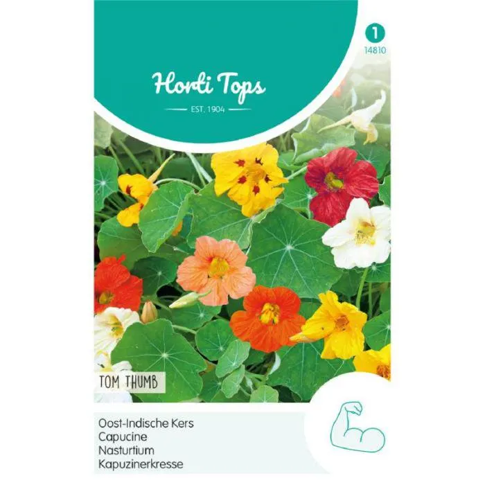 Oost-Indische Kers - Tom Thumb