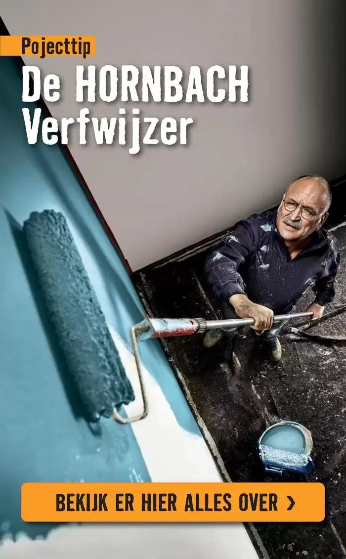 Hornbach folder van 7 januari tot 14 januari 2025 - Folder pagina 41