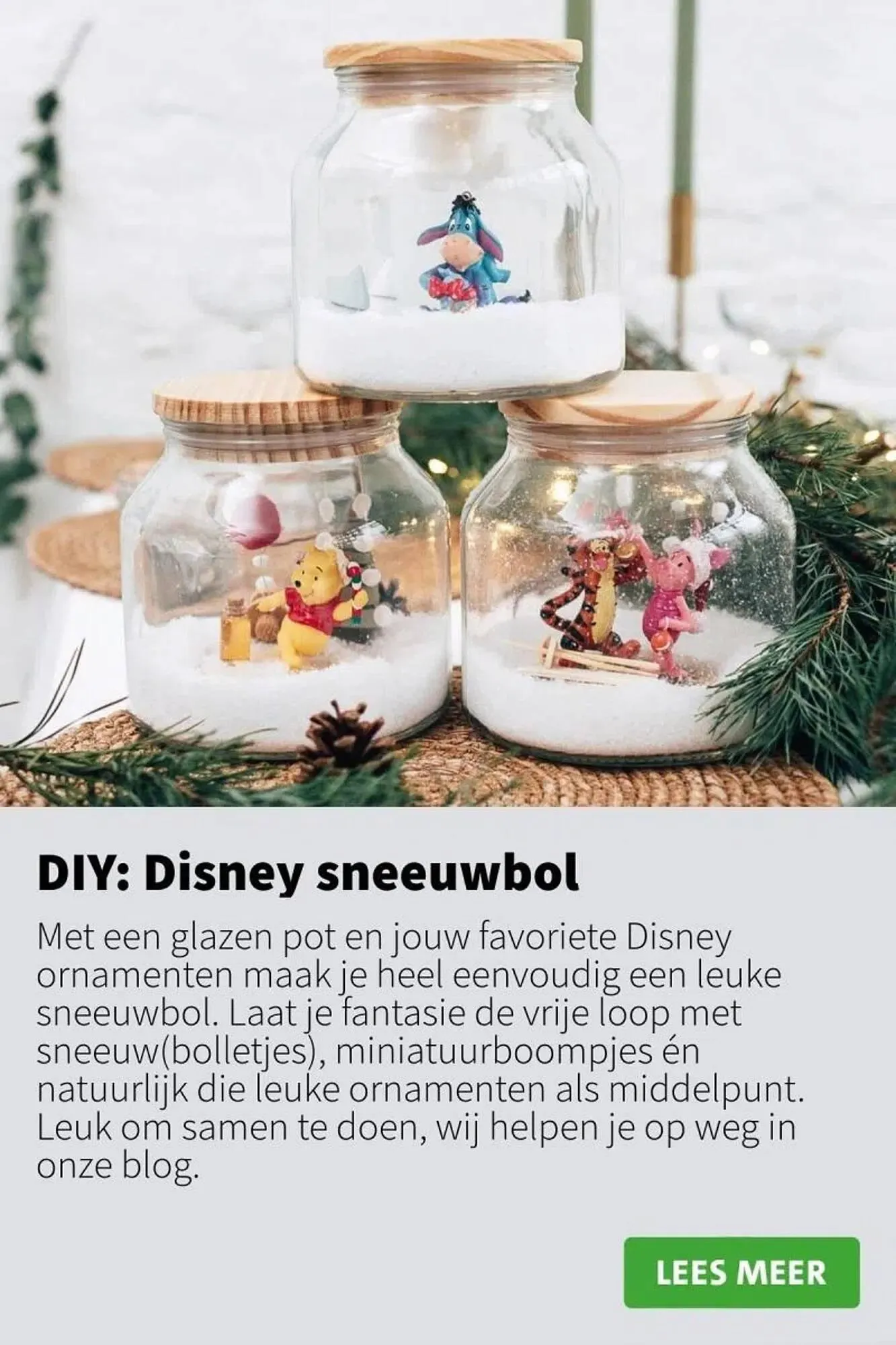 Intratuin folder van 20 november tot 26 november 2023 - Folder pagina 8