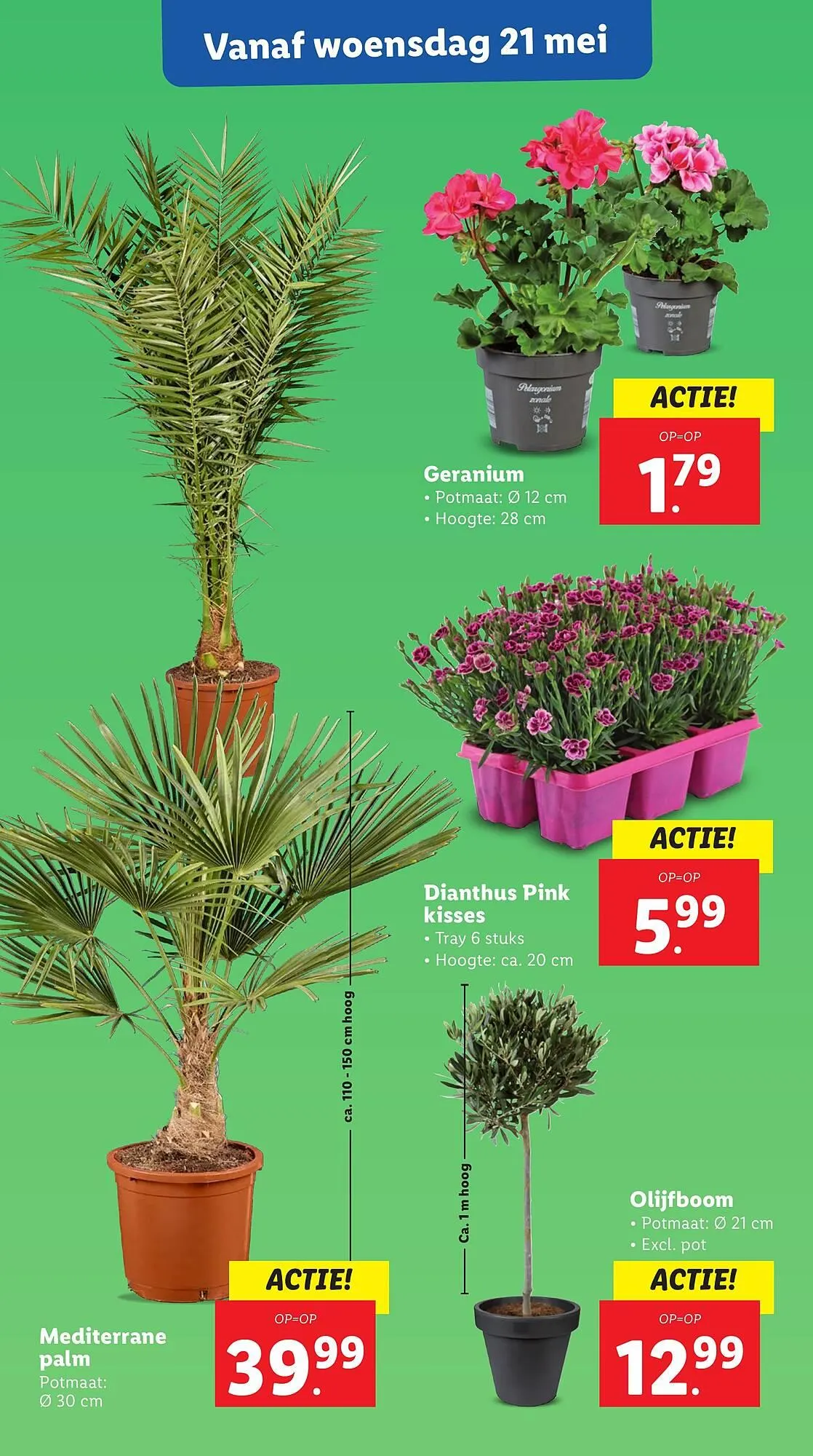 Lidl folder van 19 mei tot 25 mei 2025 - Folder pagina 18