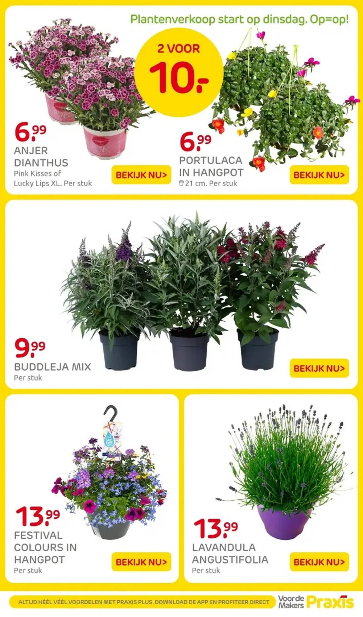 Praxis folder van 23 juni tot 29 juni 2025 - Folder pagina 18