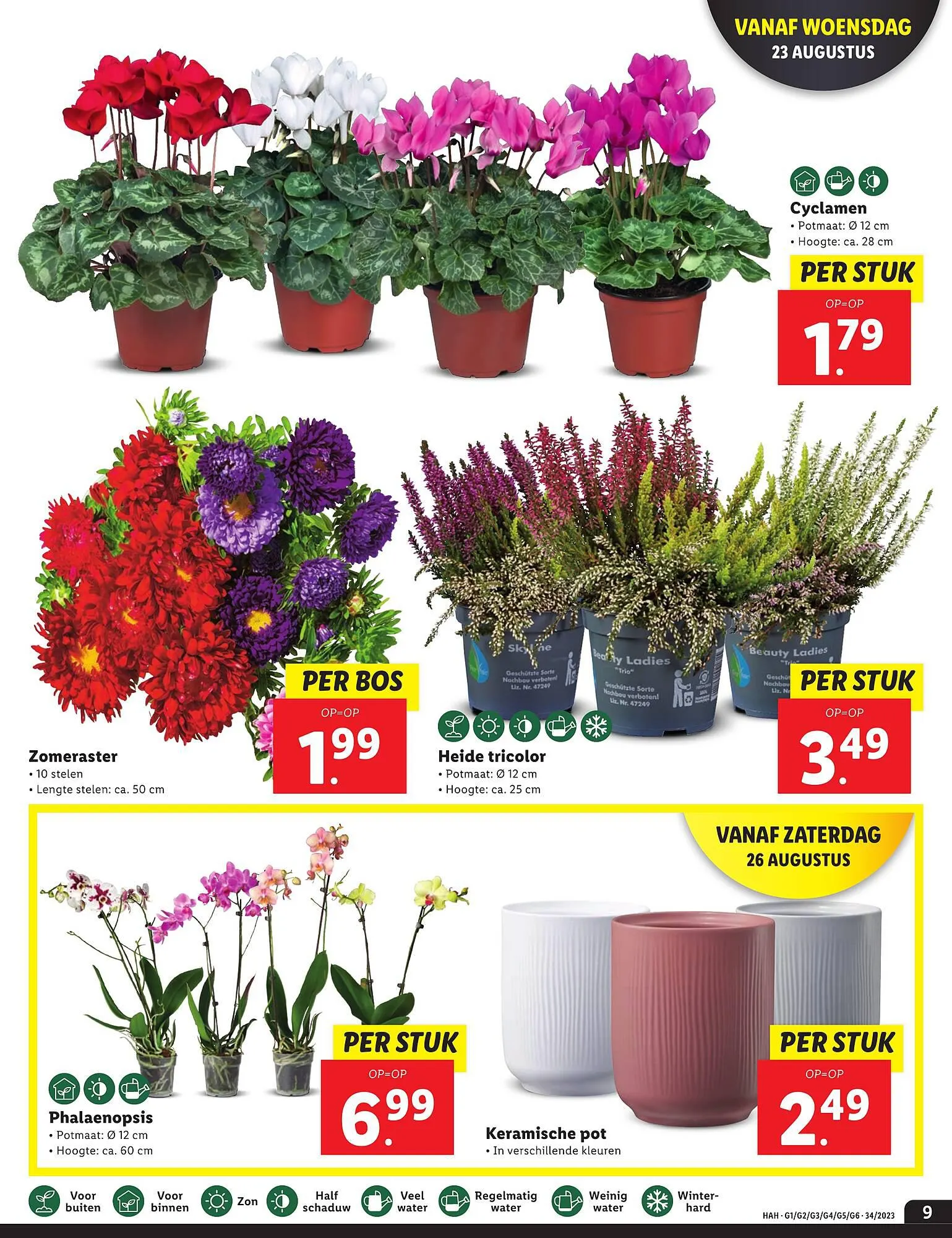 Lidl Folder van 21 augustus tot 27 augustus 2023 - Folder pagina 9