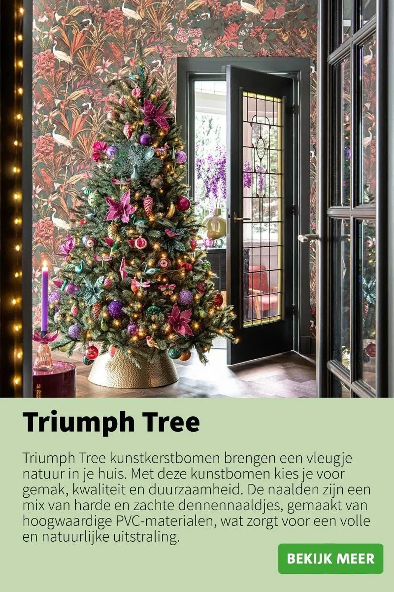 Intratuin folder van 9 oktober tot 24 december 2025 - Folder pagina 2