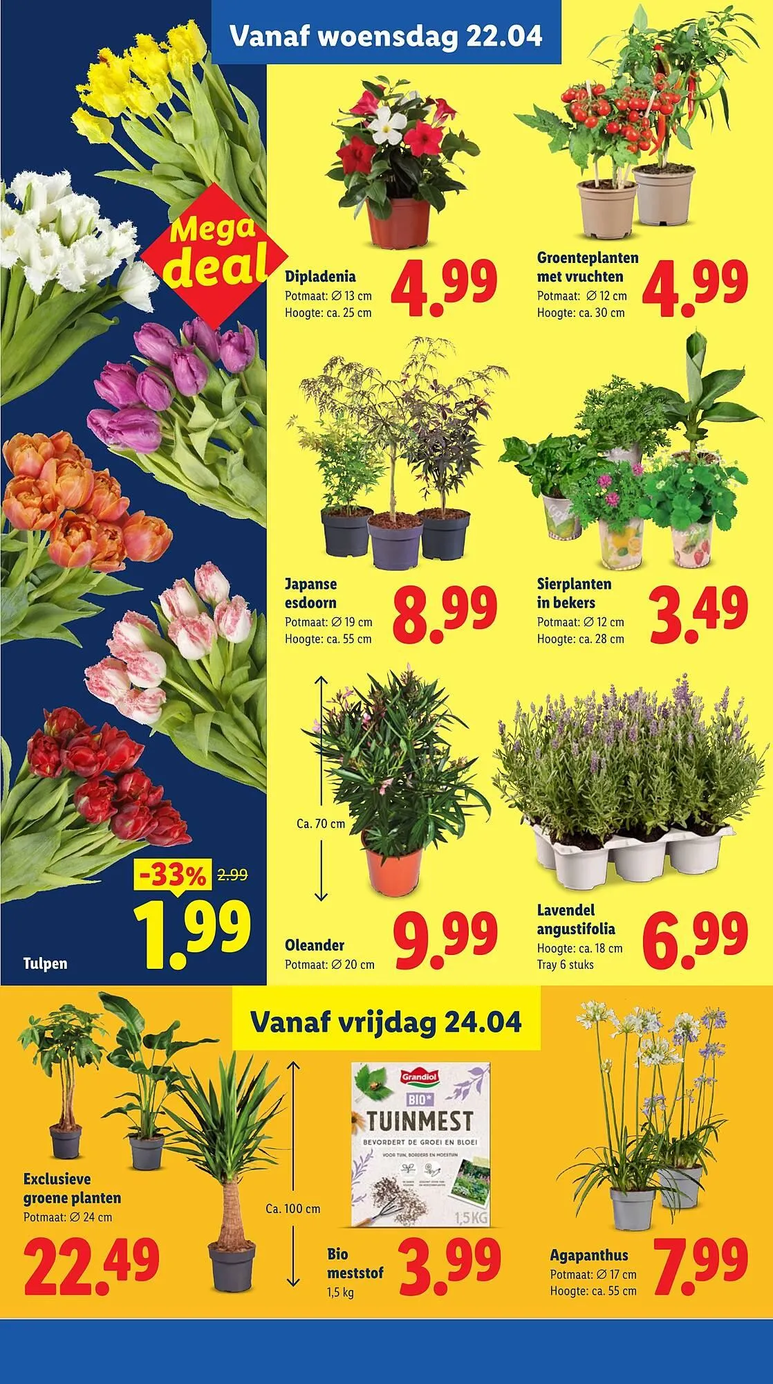 Lidl folder van 20 april tot 26 april 2026 - Folder pagina 23