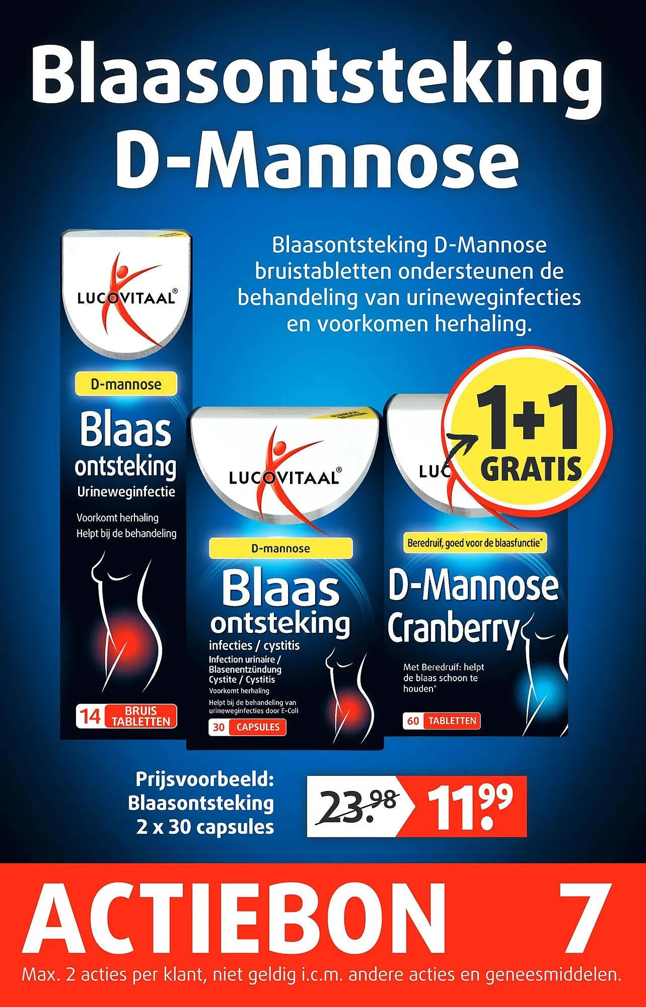 Lucovitaal folder van 2 november tot 8 november 2025 - Folder pagina 8