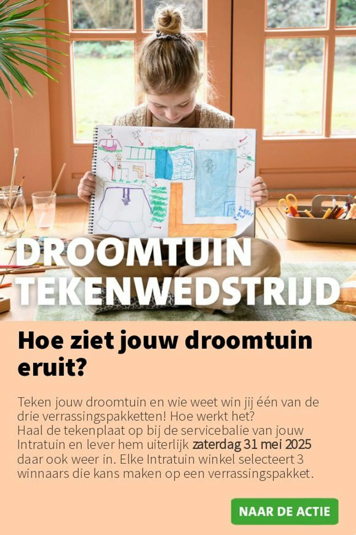 Intratuin van 12 mei tot 18 mei 2025 - Folder pagina 11