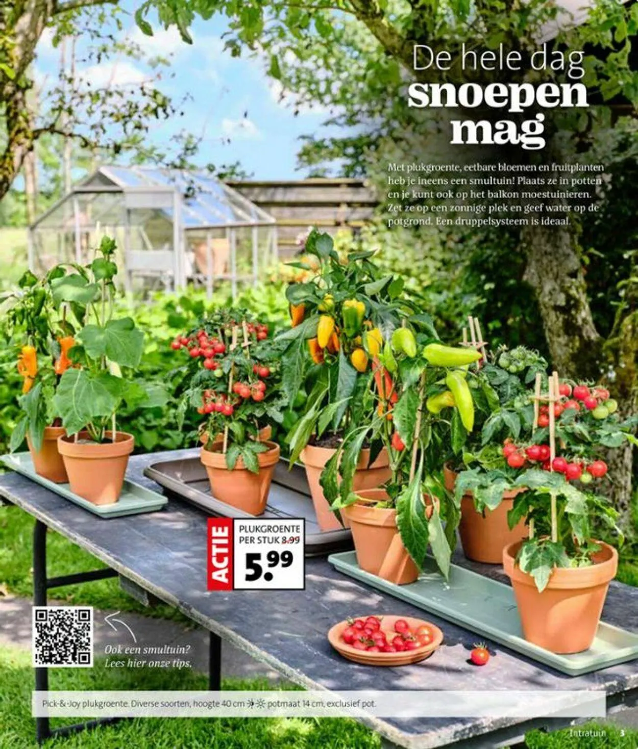 Intratuin van 19 mei tot 25 mei 2025 - Folder pagina 3