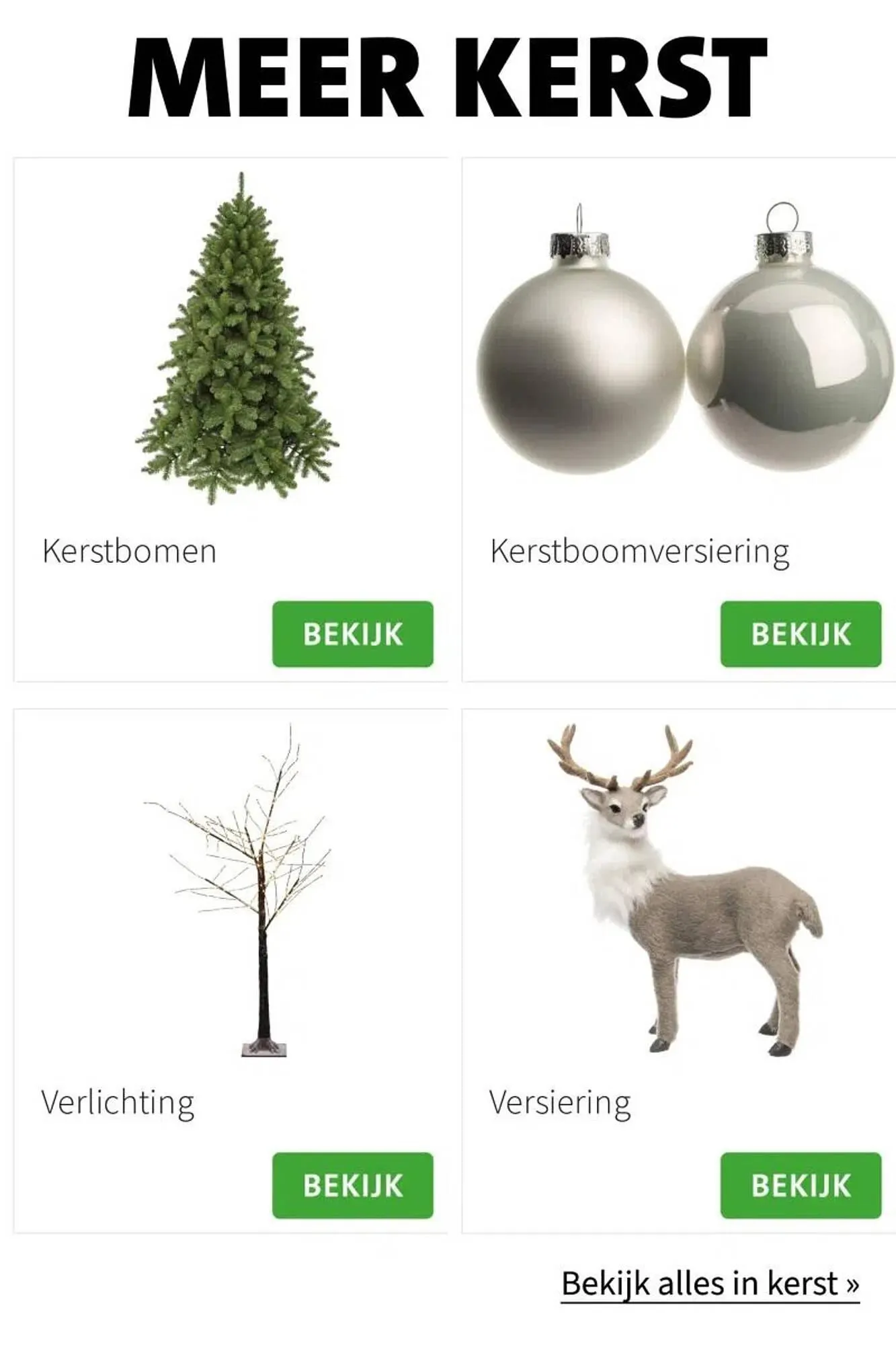 Intratuin folder van 9 oktober tot 24 december 2025 - Folder pagina 45