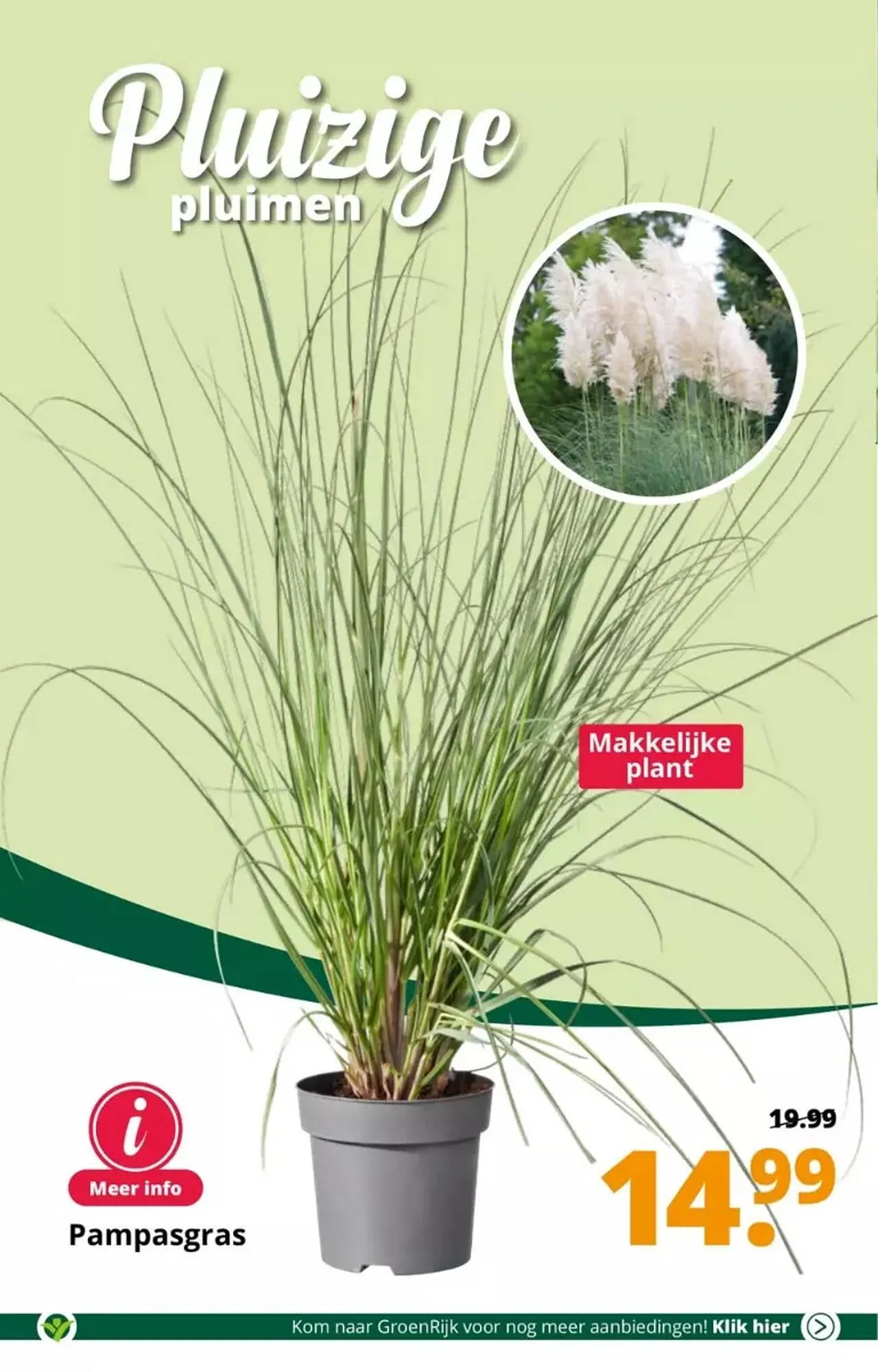 GroenRijk folder van 30 augustus tot 5 september 2023 - Folder pagina 8