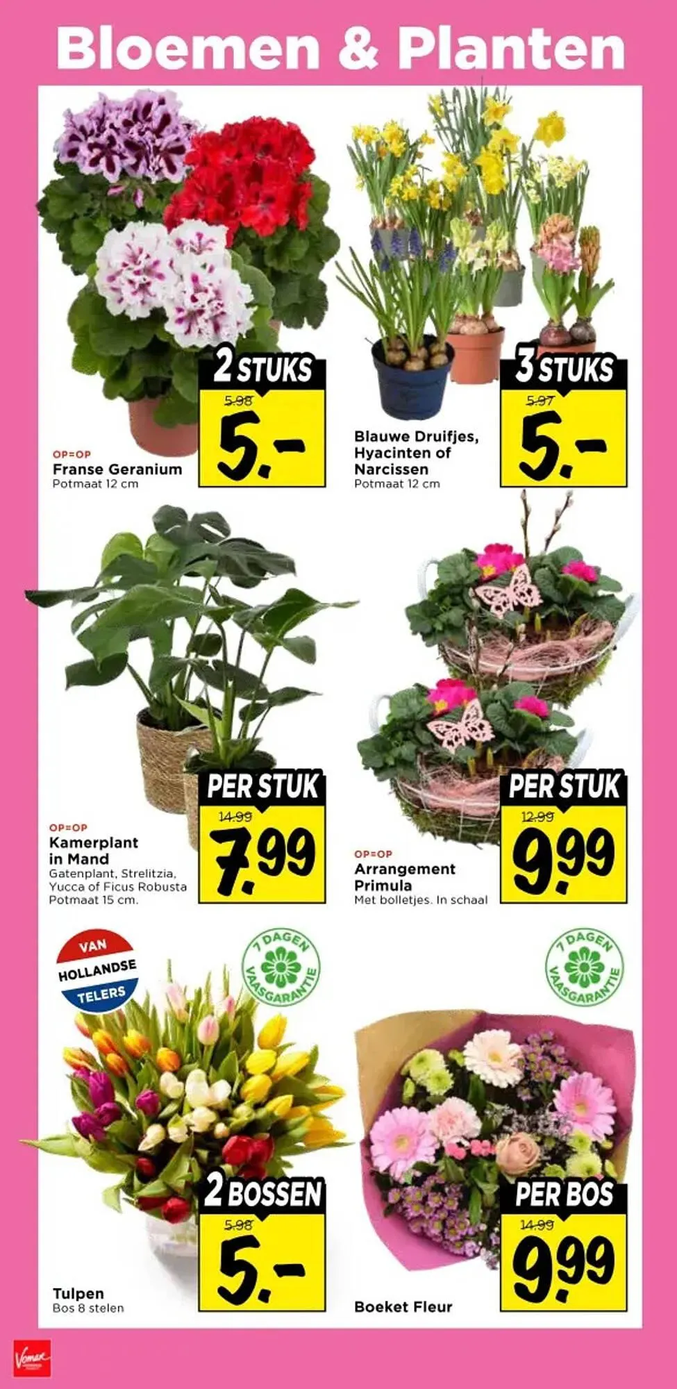 Vomar Voordeelmarkt folder van 19 februari tot 21 februari 2026 - Folder pagina 33