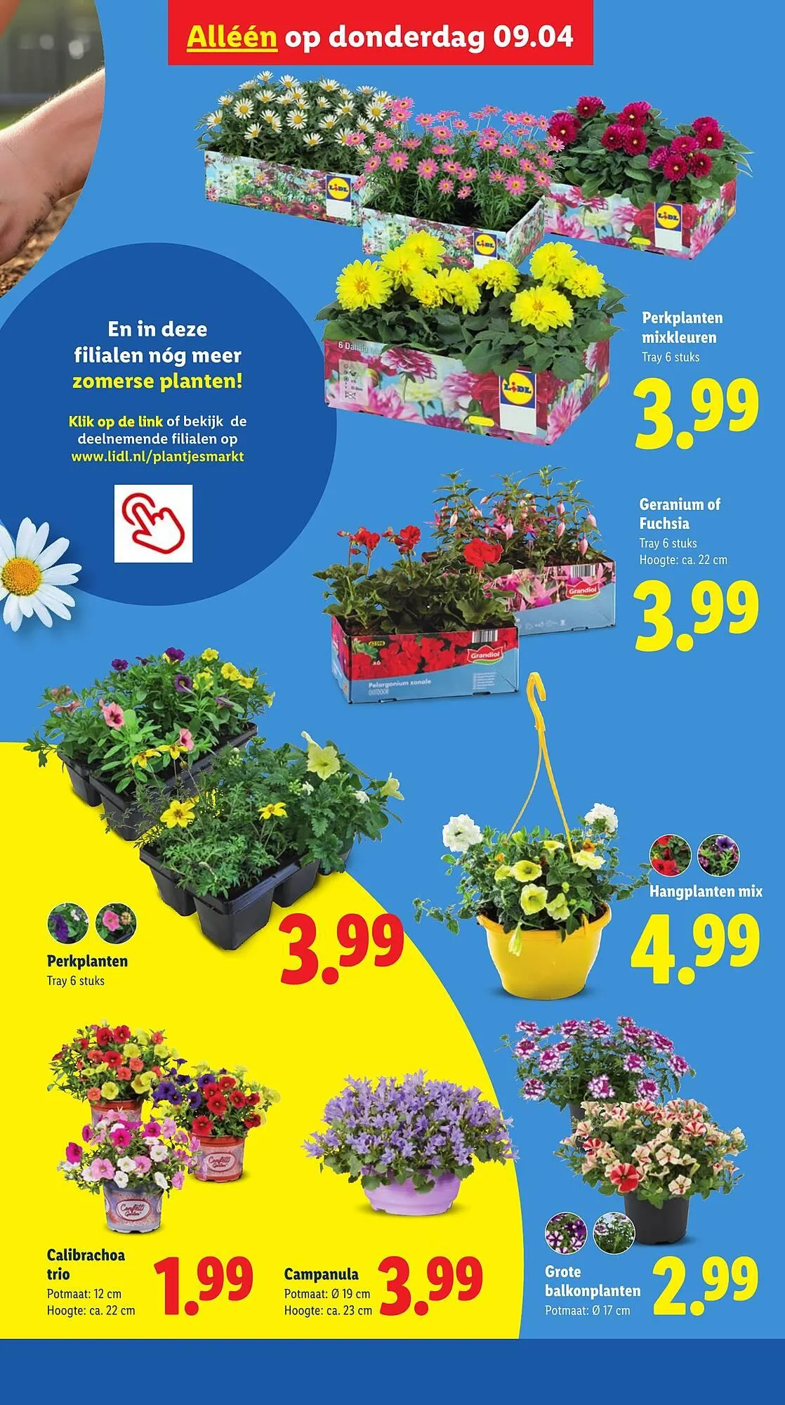 Lidl folder van 7 april tot 12 april 2026 - Folder pagina 36