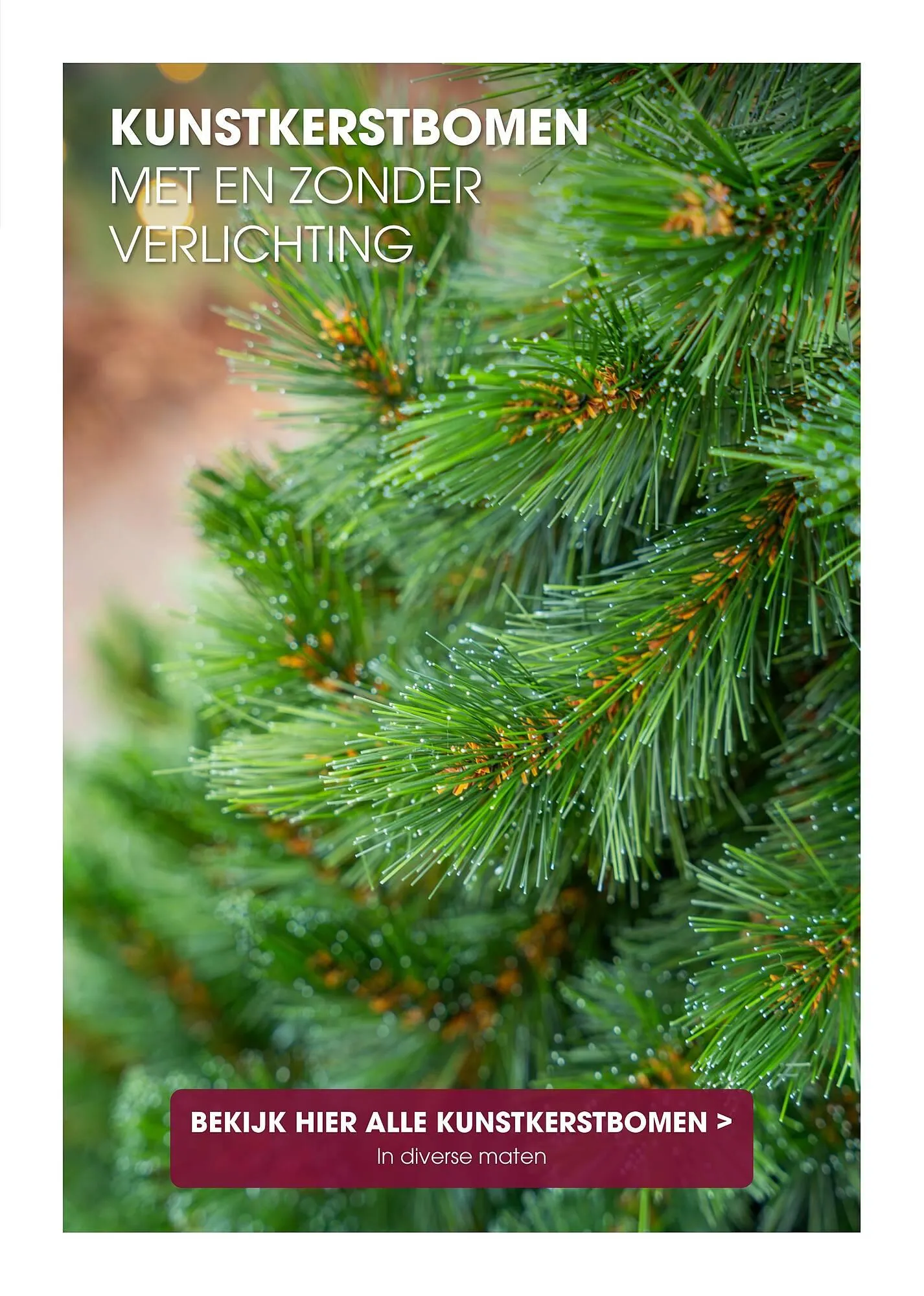 Coppelmans kerstbomencatalogus van 12 november tot 24 december 2025 - Folder pagina 10