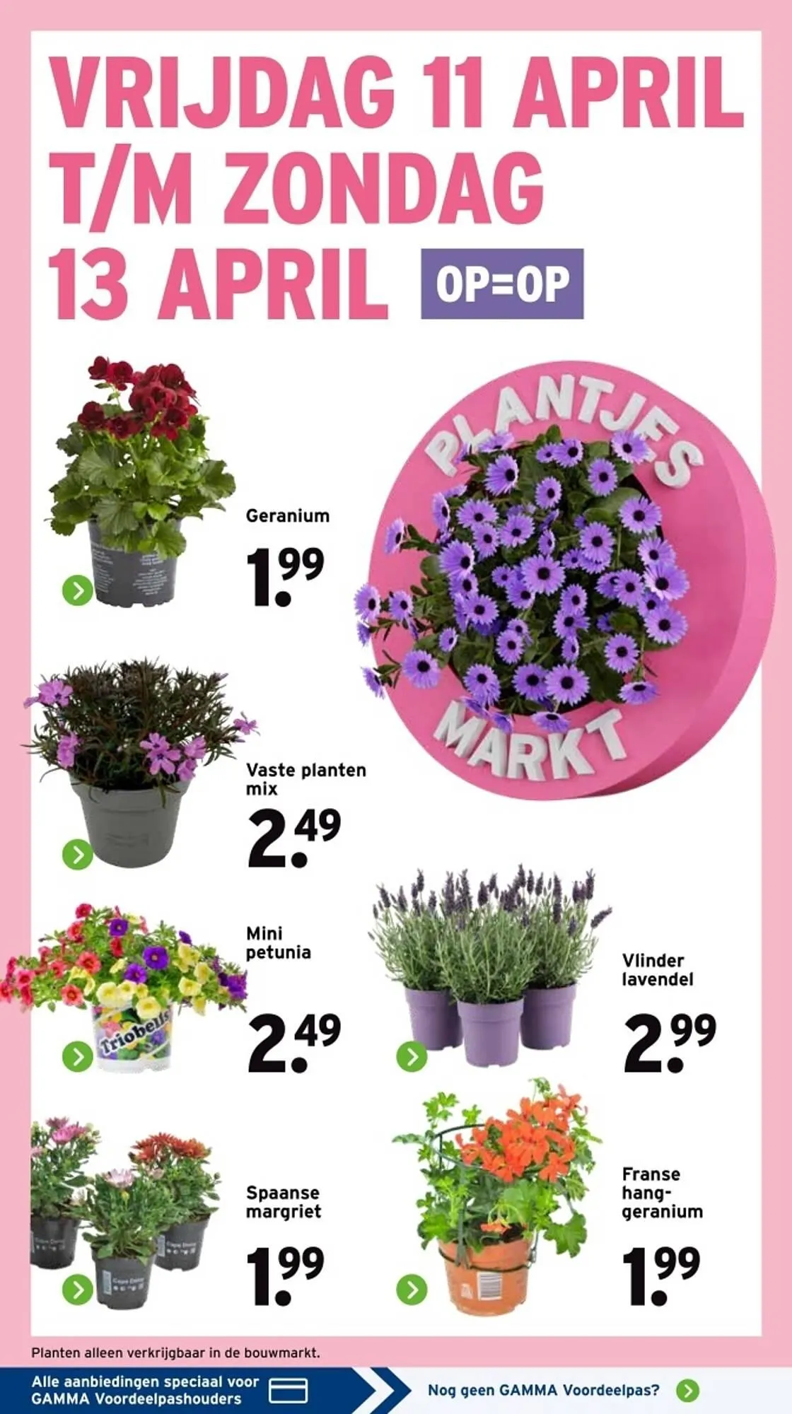 GAMMA folder van 7 april tot 13 april 2025 - Folder pagina 2