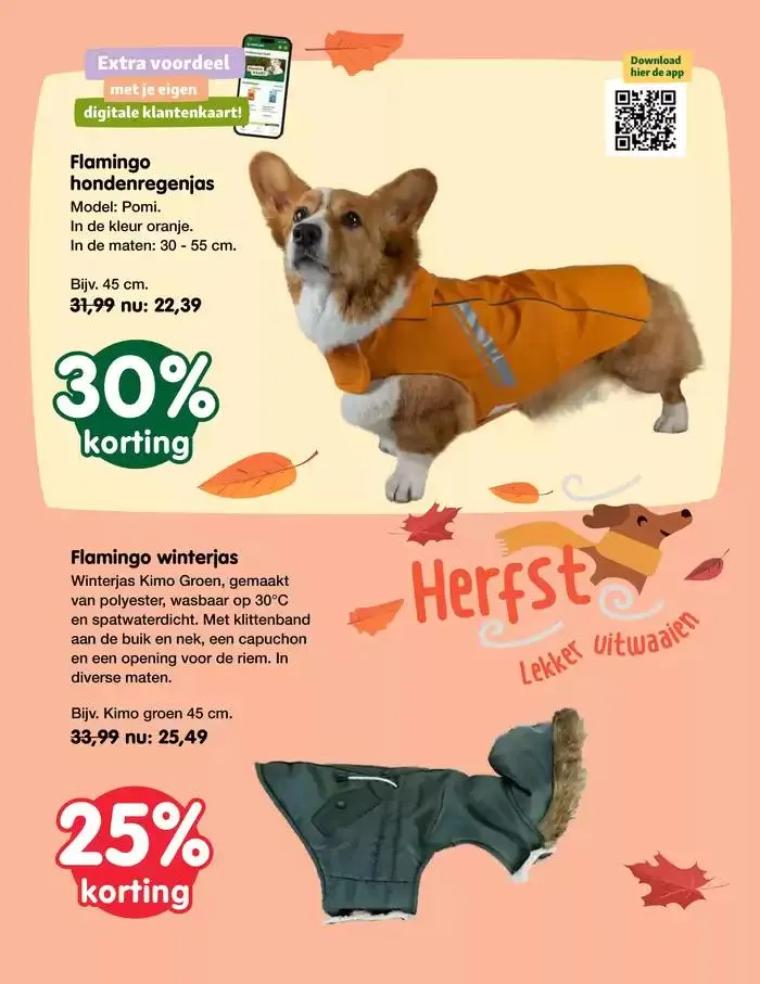 Jumper folder van 16 oktober tot 30 oktober 2024 - Folder pagina 8