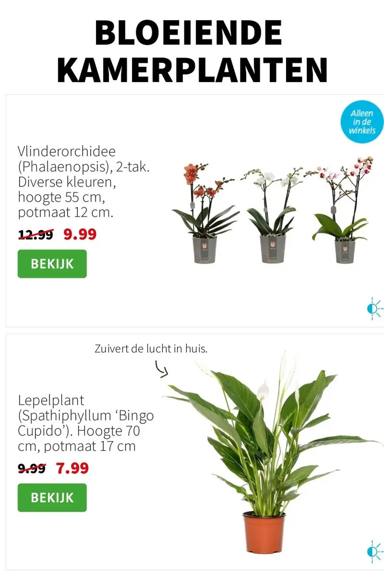 Intratuin folder van 3 november tot 9 november 2025 - Folder pagina 3