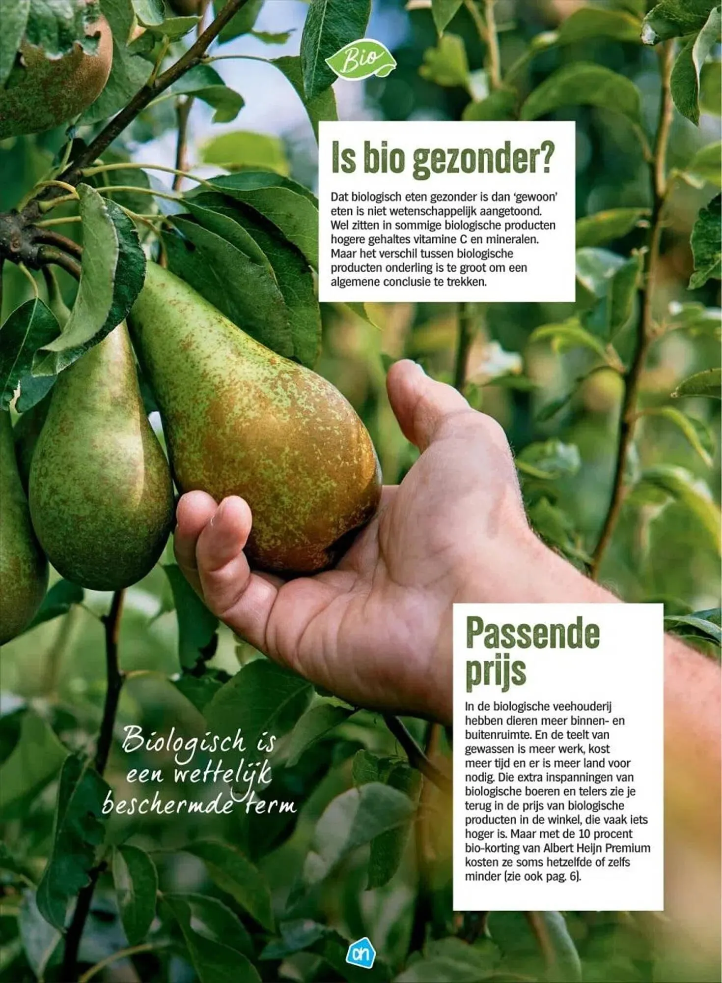 Albert Heijn Biologisch folder van 15 september tot 4 oktober 2023 - Folder pagina 3