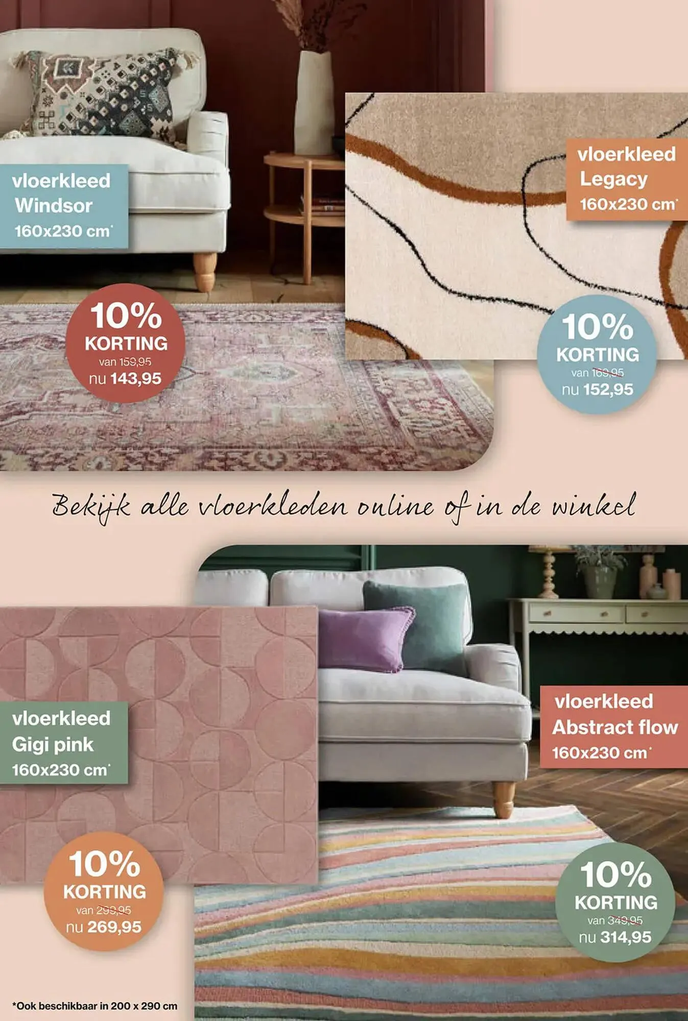 Roobol folder van 24 mei tot 27 juni 2025 - Folder pagina 5