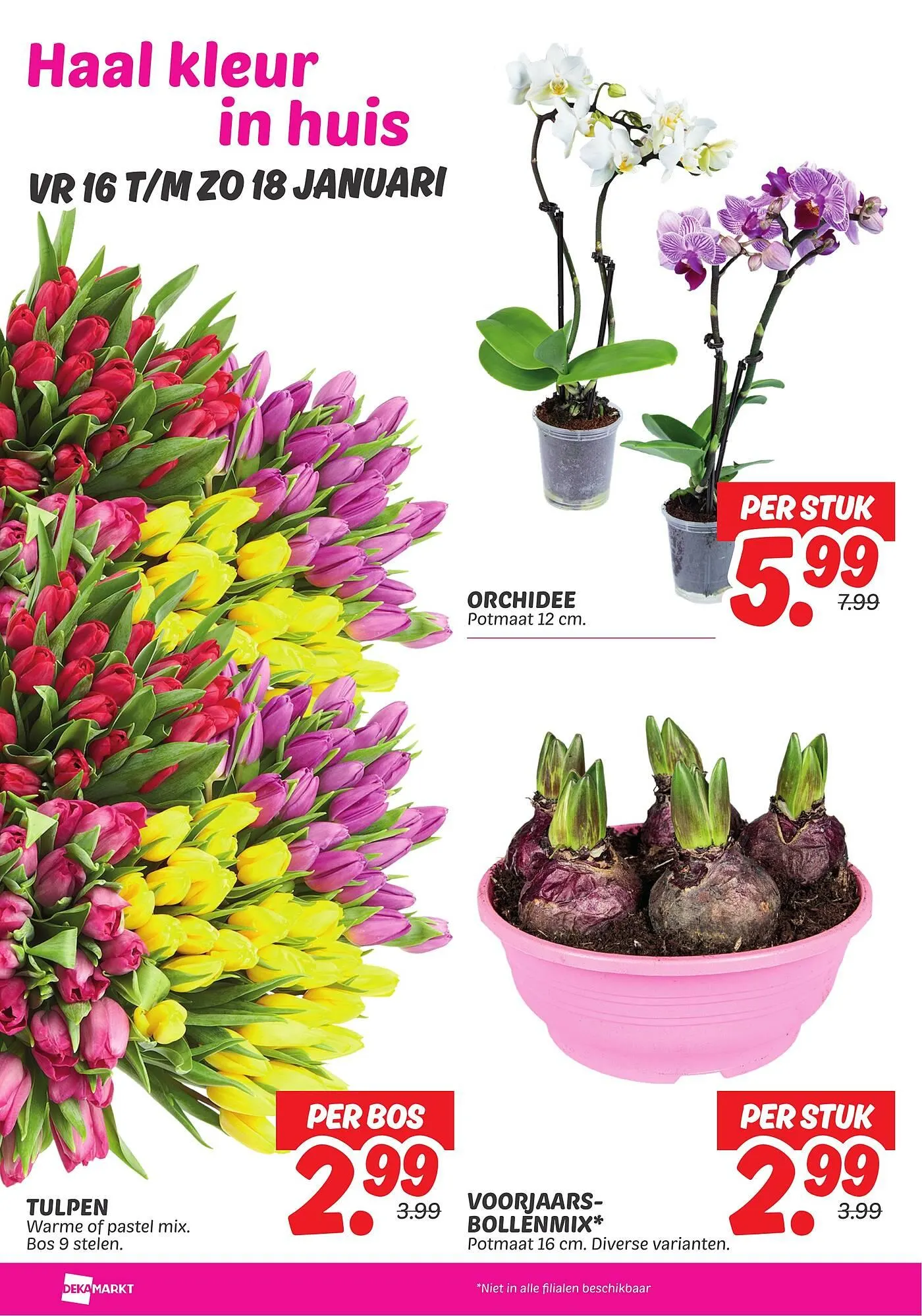 Dekamarkt folder van 13 januari tot 19 januari 2026 - Folder pagina 26