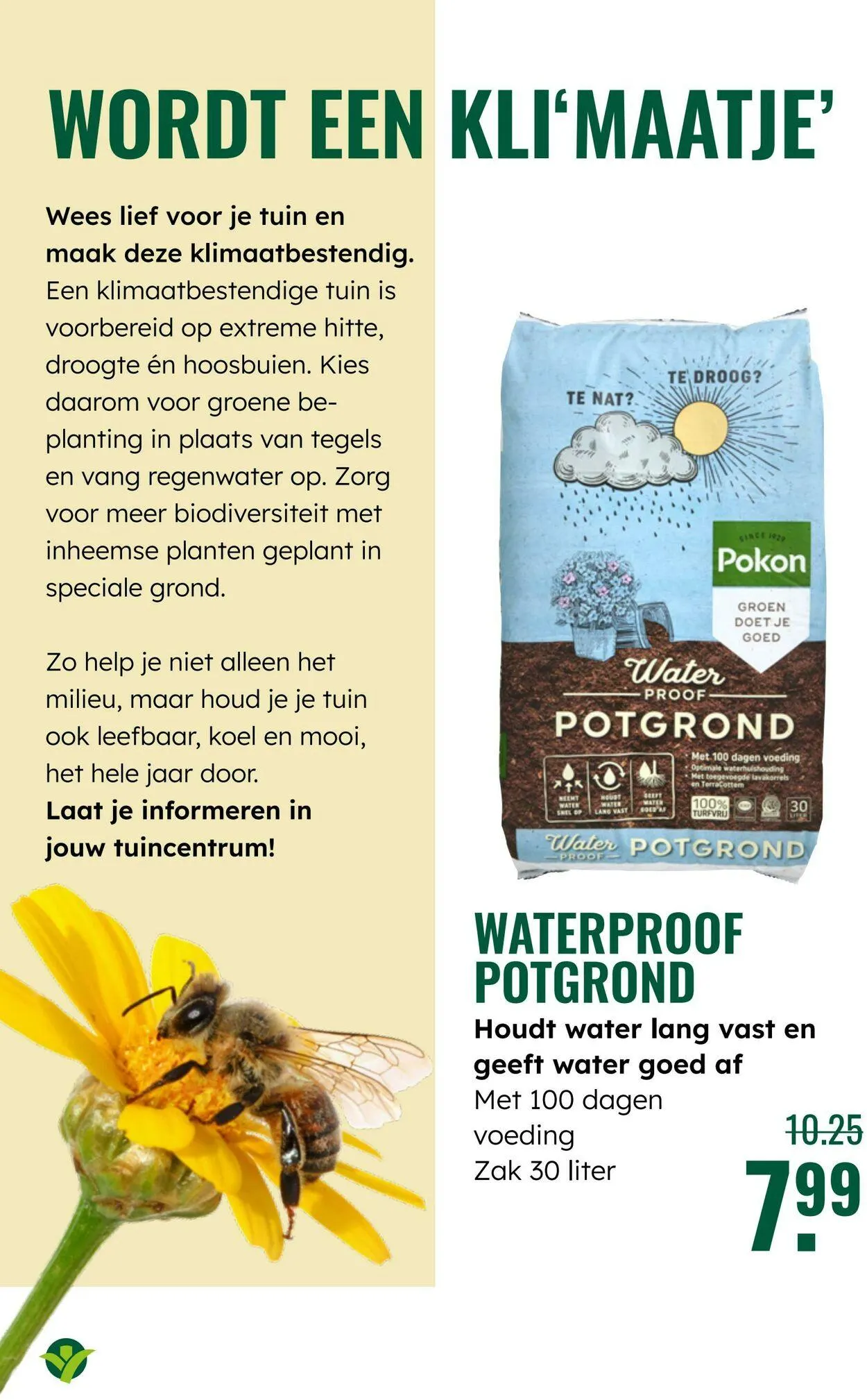 GroenRijk Actuele folder van 16 september tot 30 september 2025 - Folder pagina 6