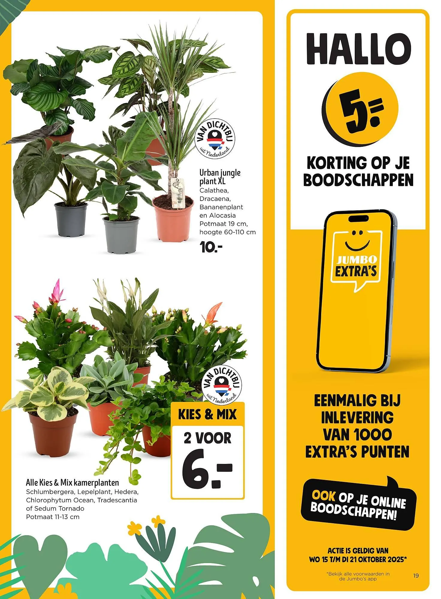 Jumbo folder van 15 oktober tot 21 oktober 2025 - Folder pagina 17