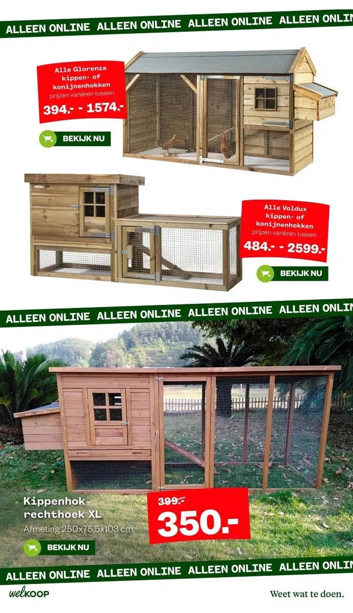 Welkoop folder van 29 december tot 4 januari 2026 - Folder pagina 7