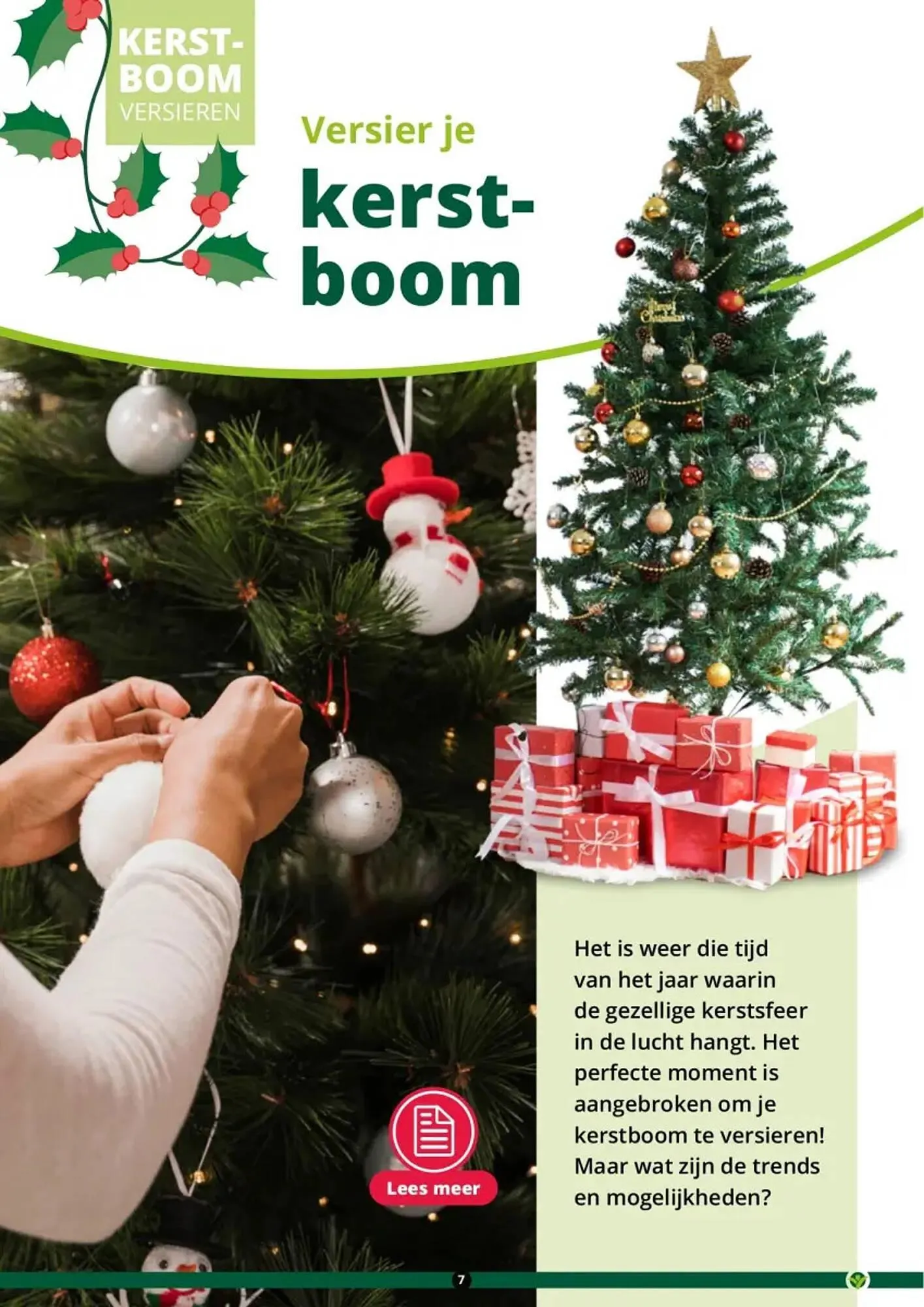 GroenRijk folder van 1 november tot 26 december 2023 - Folder pagina 7