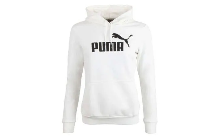 Essentials Big Logo Hoodie Fleece