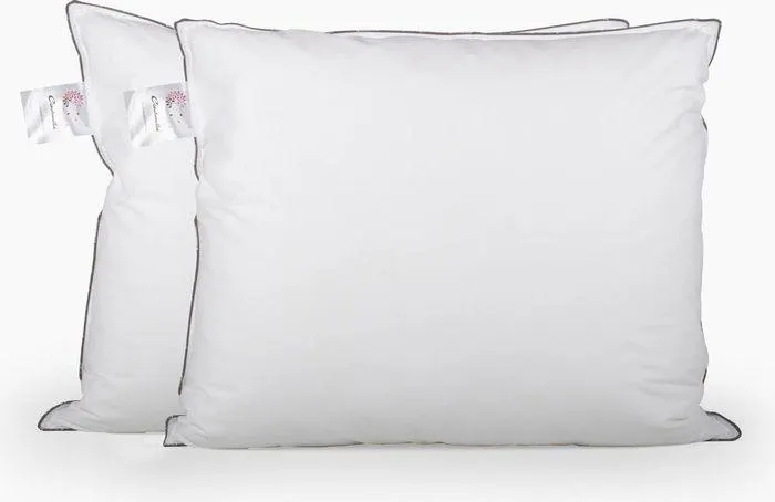 Cinderella Hoofdkussens Classic - 60x70cm - Set van 2