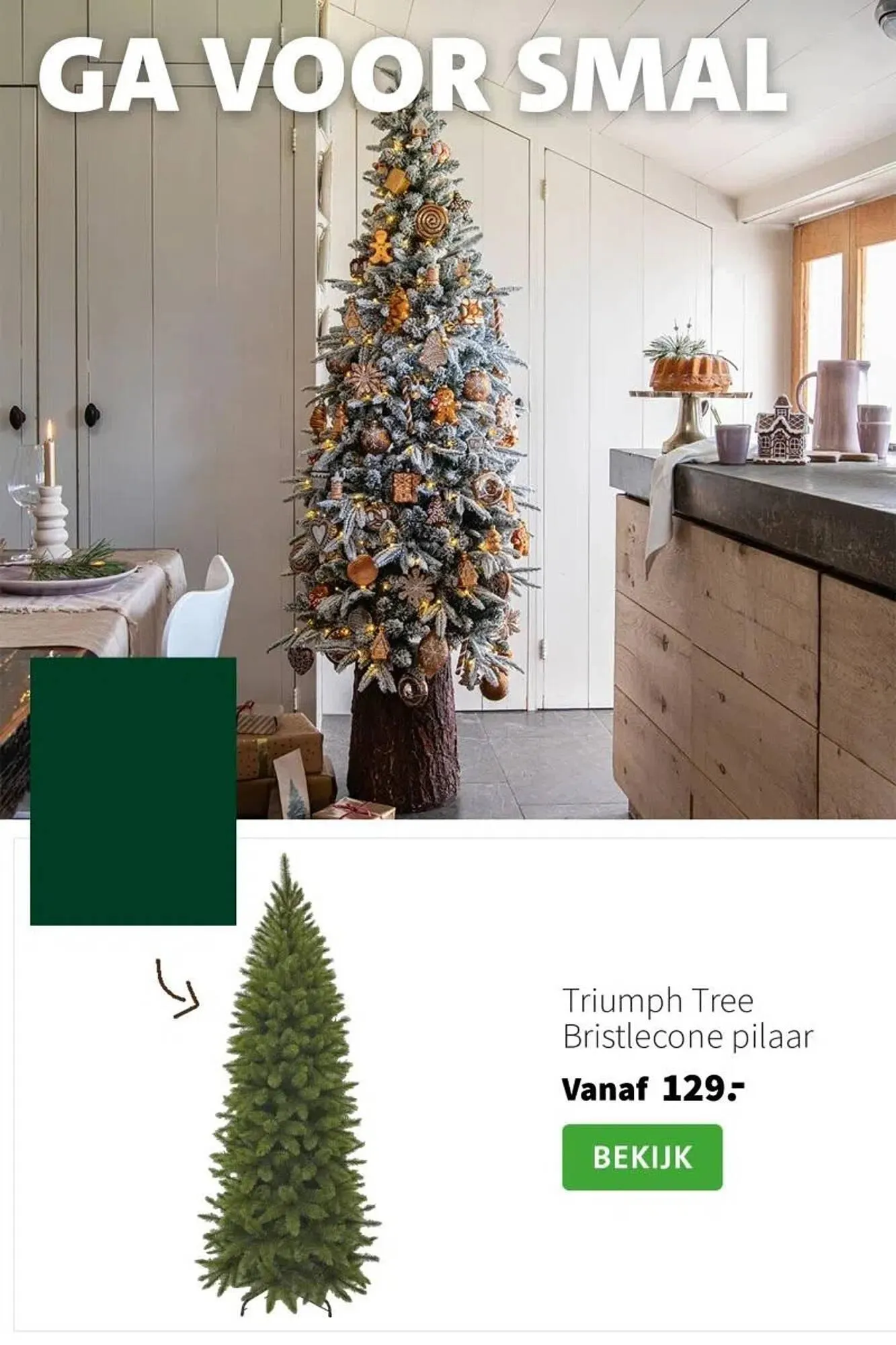 Intratuin folder van 9 oktober tot 24 december 2025 - Folder pagina 12