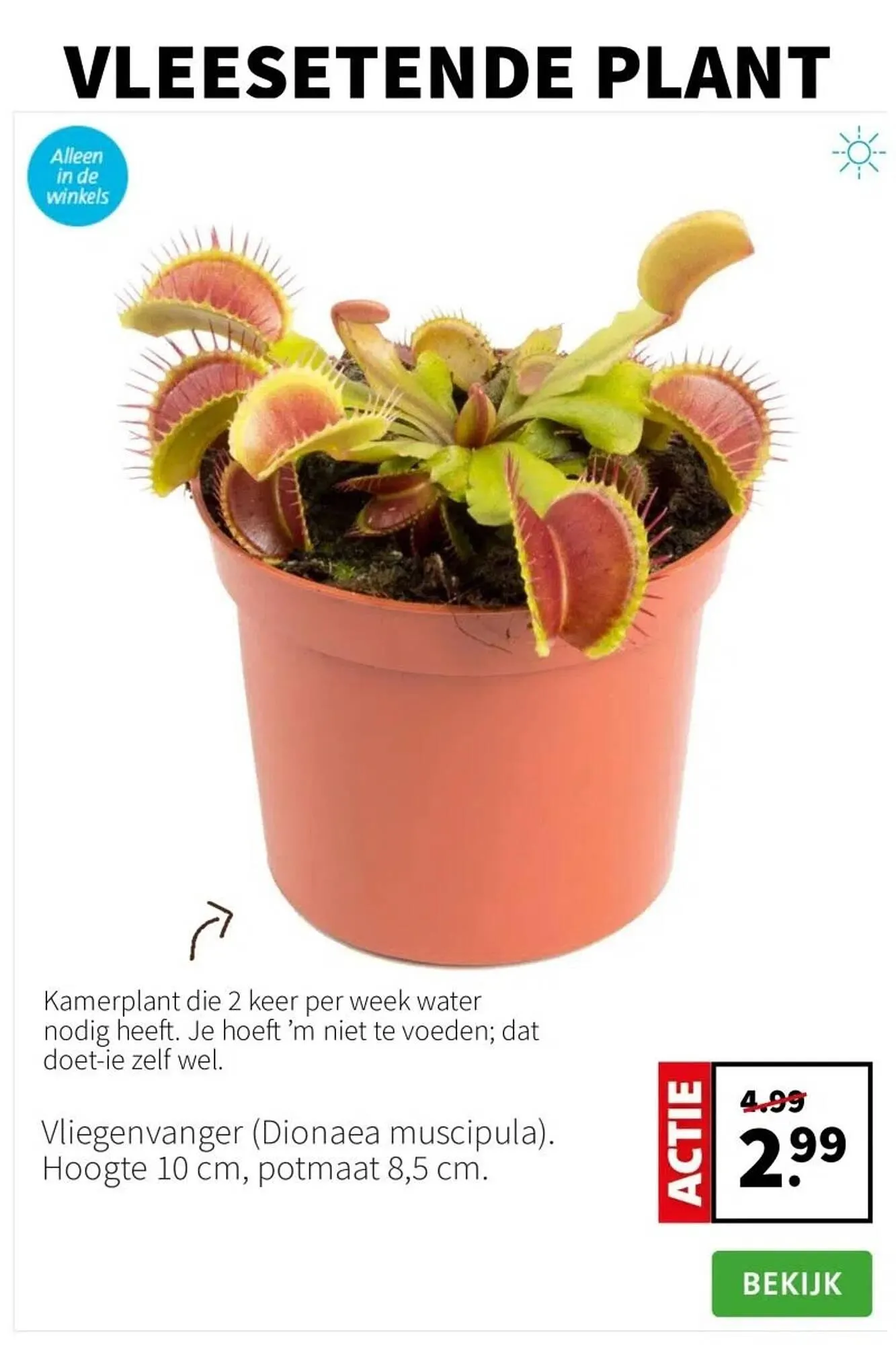 Intratuin folder van 7 juli tot 13 juli 2025 - Folder pagina 3