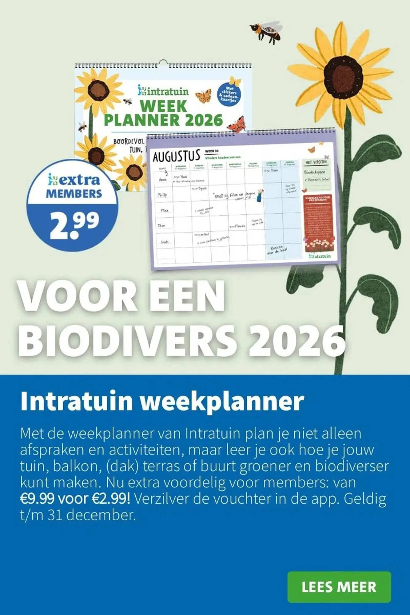 Intratuin folder van 15 december tot 21 december 2025 - Folder pagina 17