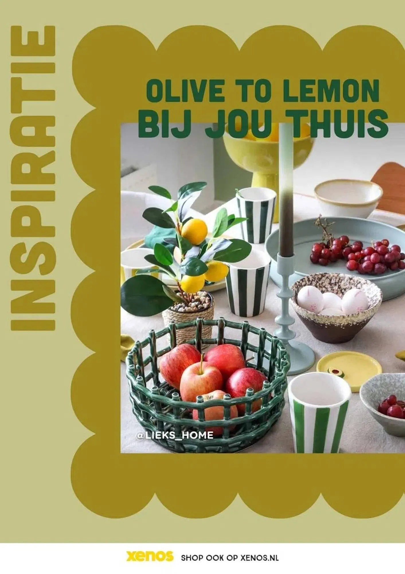 Xenos folder van 19 januari tot 19 april 2026 - Folder pagina 46