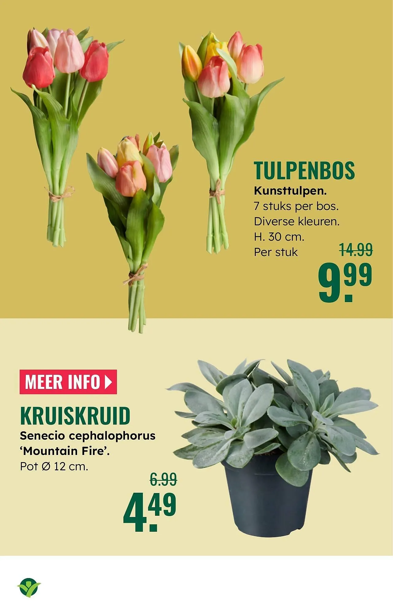 GroenRijk folder van 12 februari tot 18 februari 2026 - Folder pagina 5