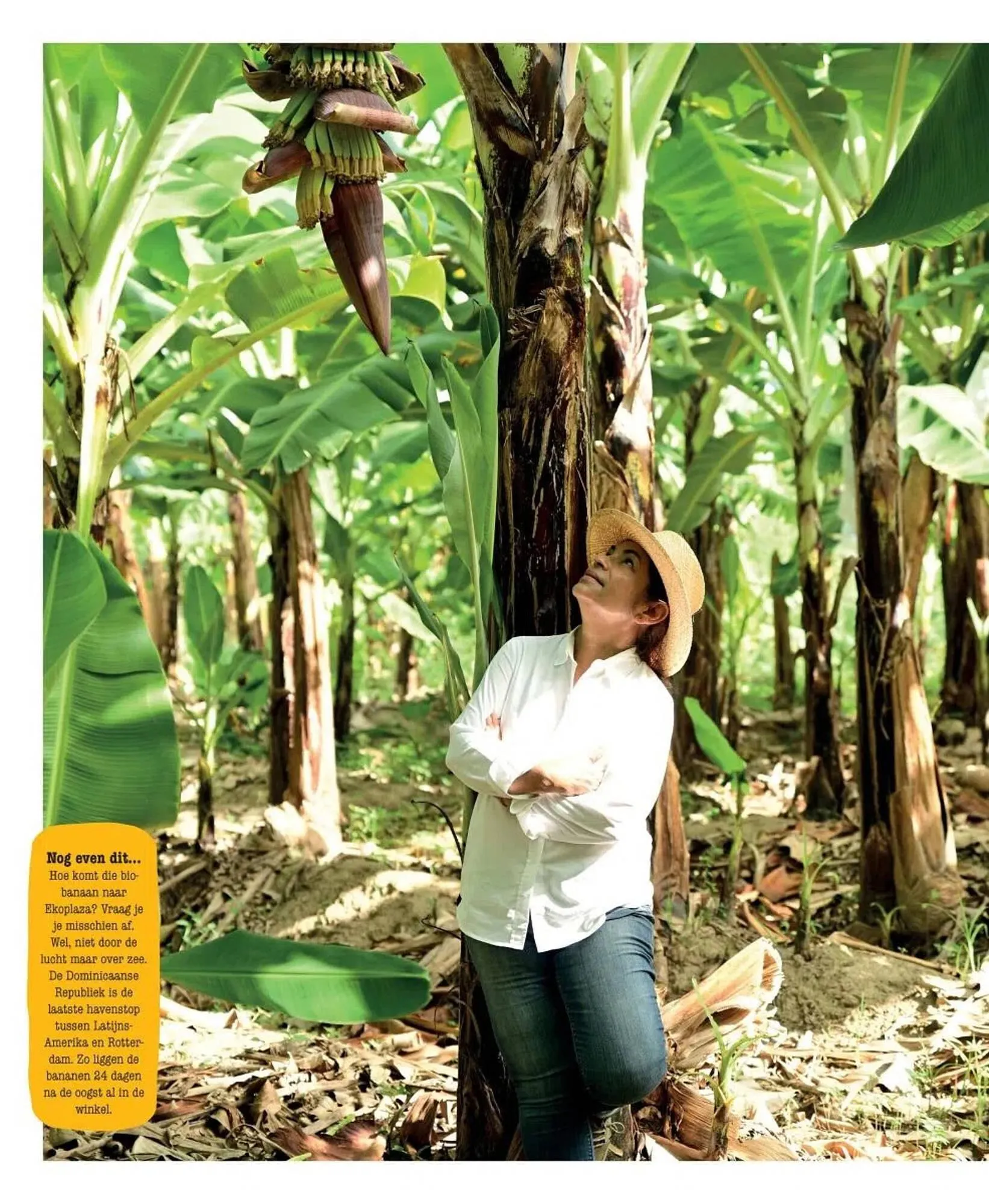 Ekoplaza folder van 19 maart tot 29 april 2025 - Folder pagina 76