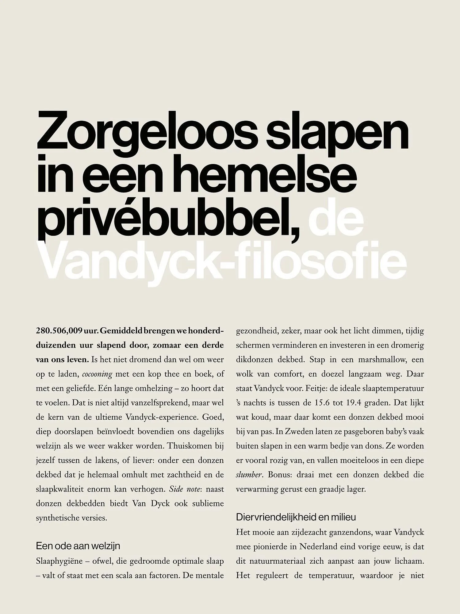 Van Dyck shop folder van 1 februari tot 31 december 2023 - Folder pagina 11