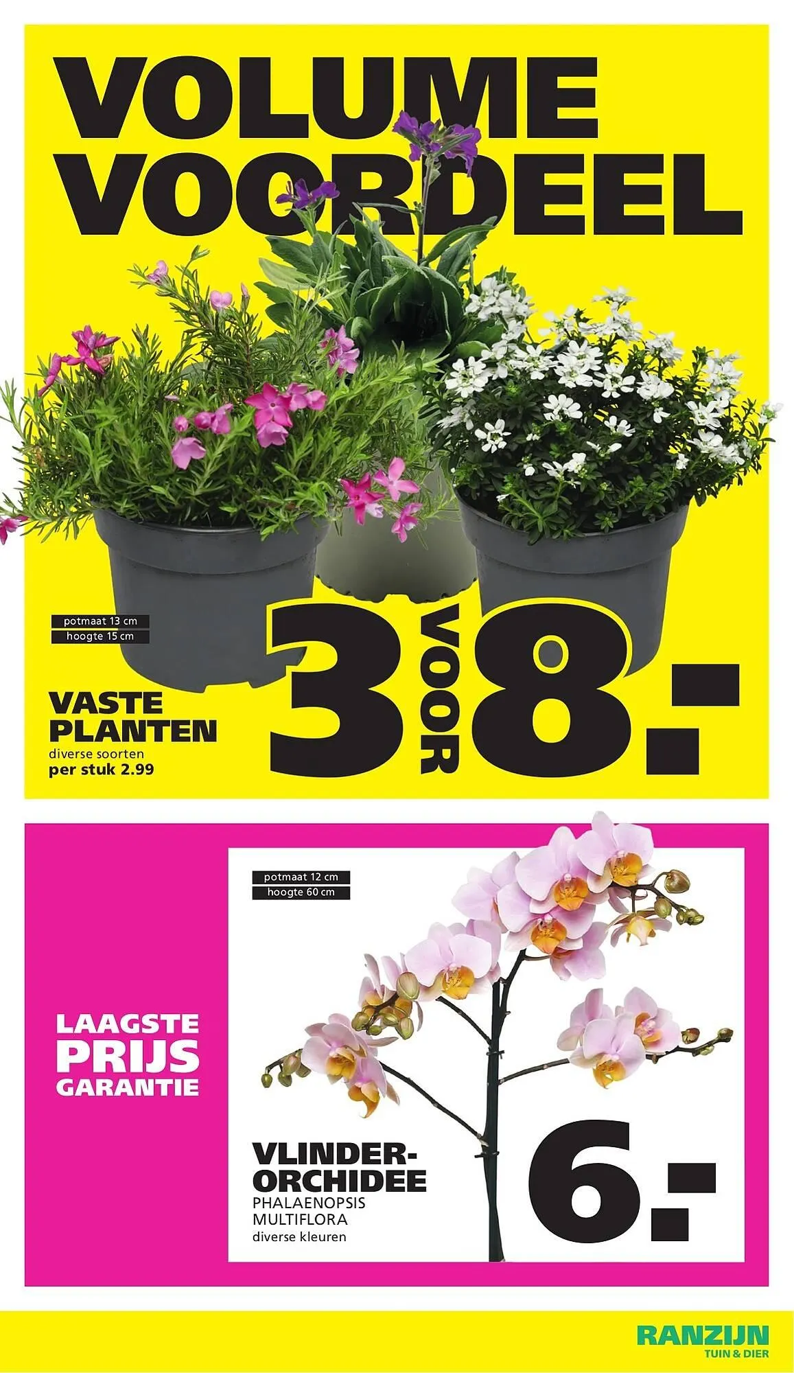 Ranzijn folder van 22 maart tot 28 maart 2026 - Folder pagina 12