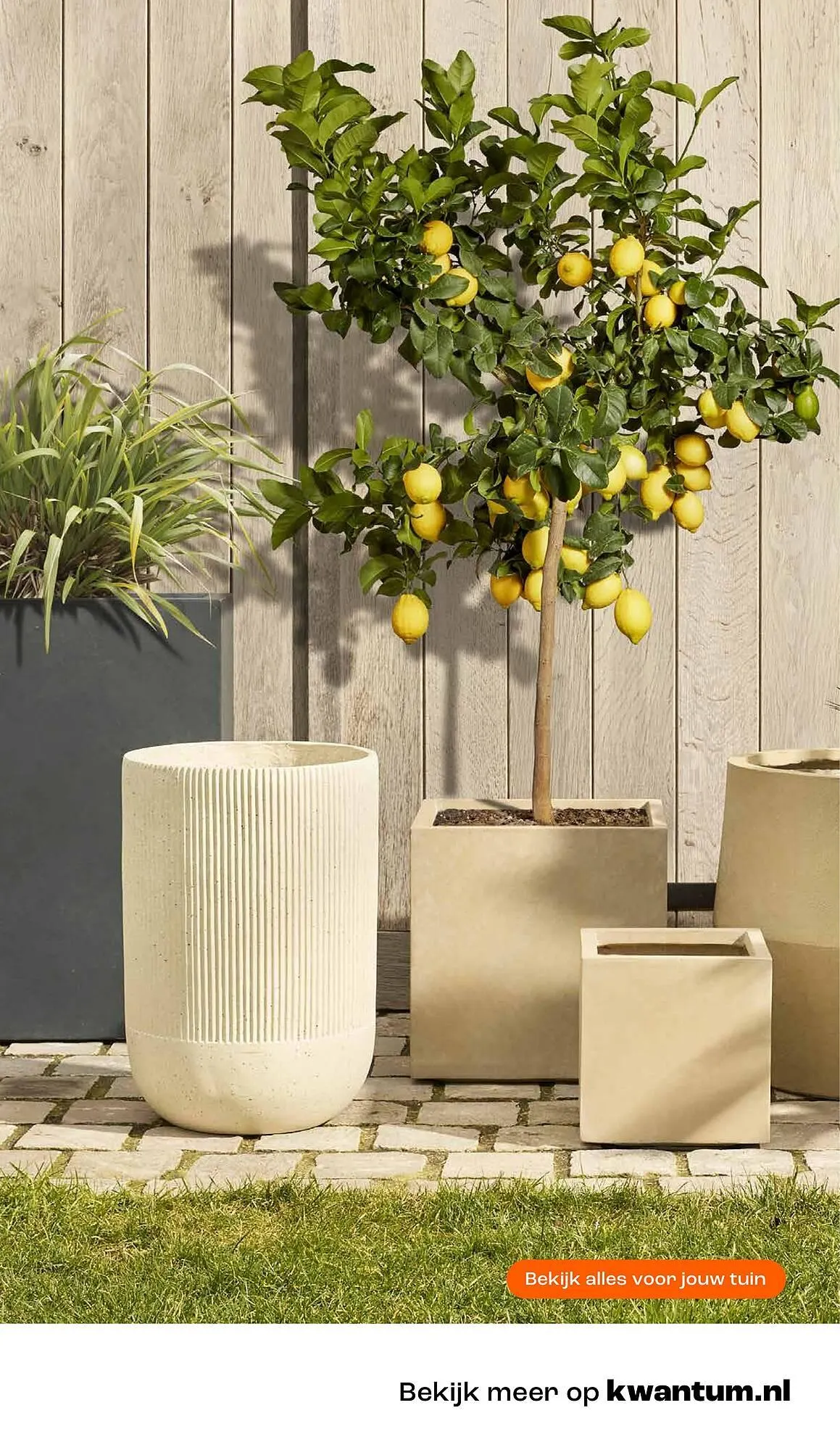 Kwantum folder van 10 juni tot 15 juni 2025 - Folder pagina 37