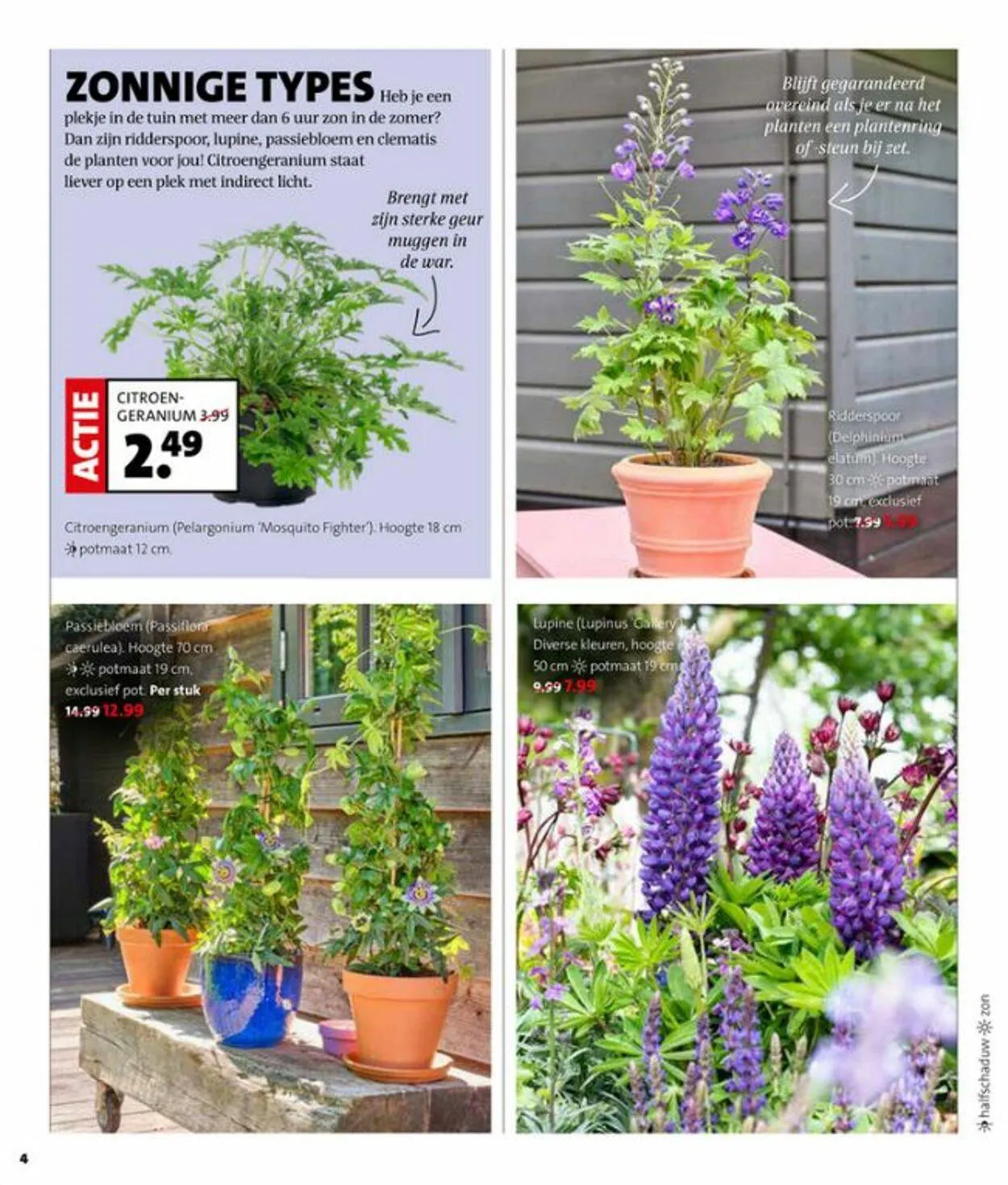 Intratuin van 19 mei tot 25 mei 2025 - Folder pagina 4