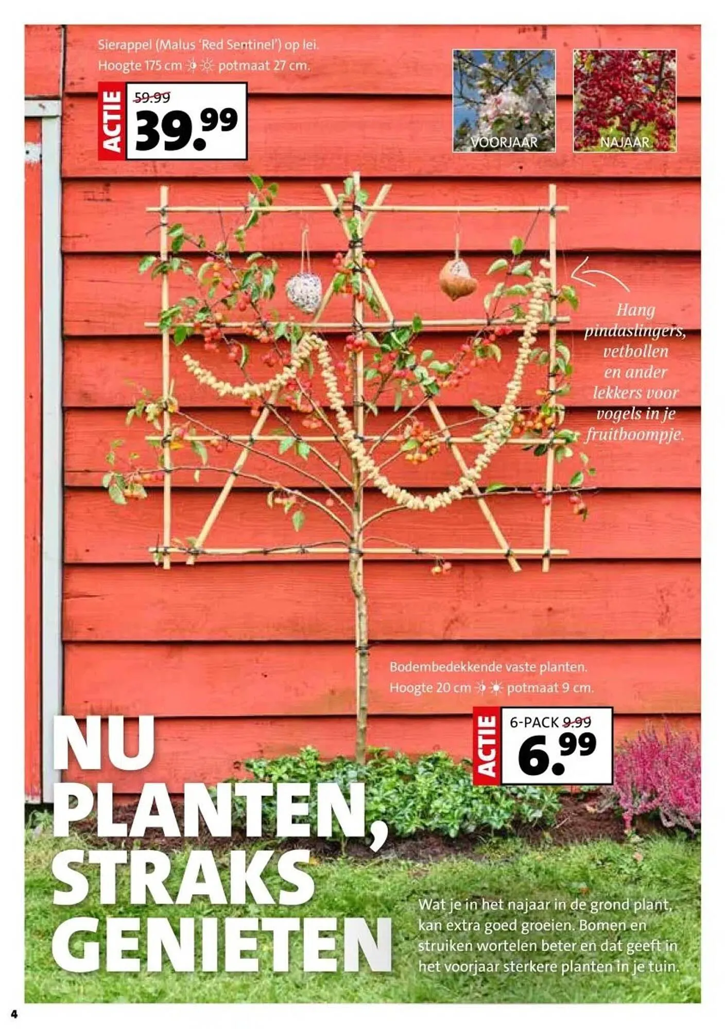 Intratuin folder van 29 september tot 5 oktober 2025 - Folder pagina 4