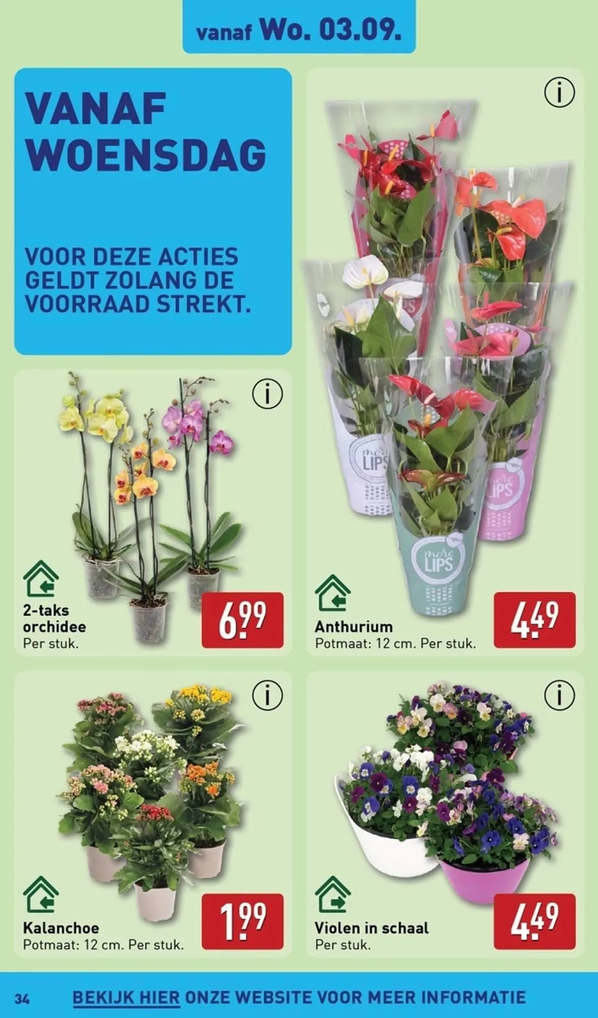 ALDI folder van 1 september tot 8 september 2025 - Folder pagina 34