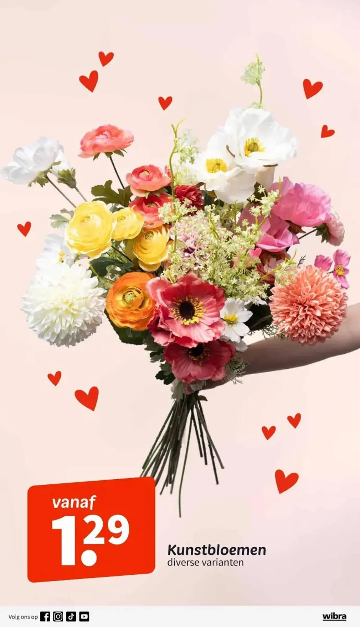 Wibra folder van 27 april tot 10 mei 2026 - Folder pagina 9