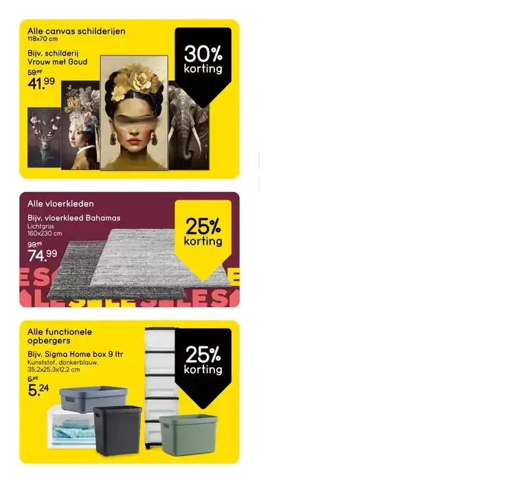 Leen Bakker folder van 8 januari tot 15 januari 2025 - Folder pagina 10