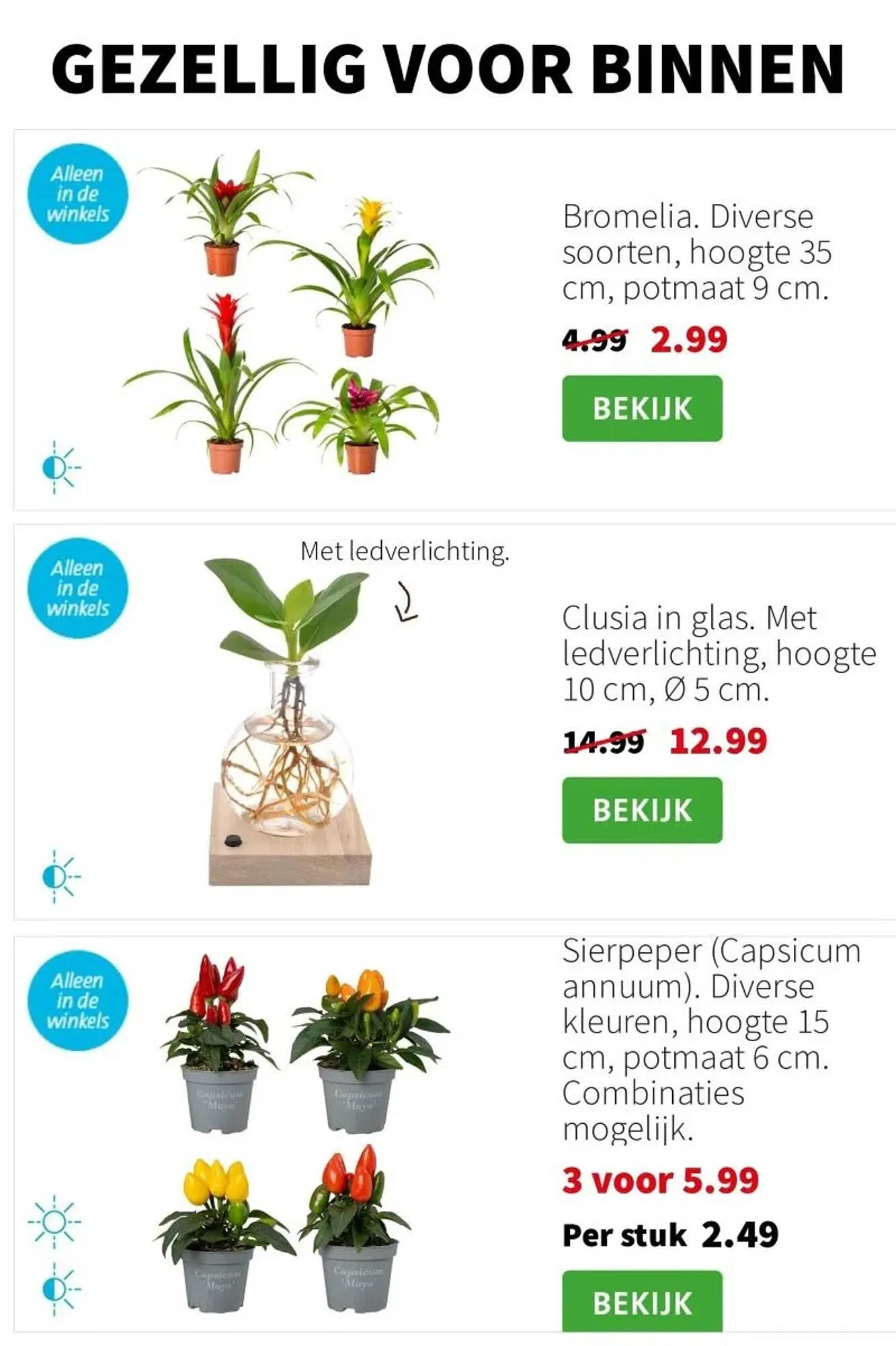 Intratuin folder van 10 november tot 16 november 2025 - Folder pagina 2